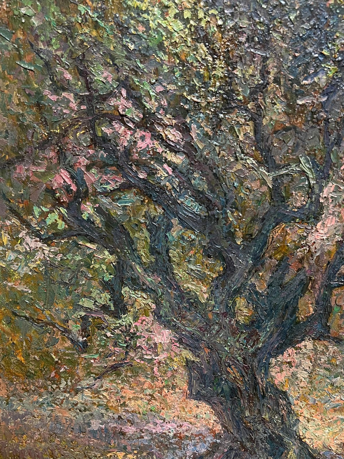 Raymond Normandpost Impressionist Oil Painting Olive Groves Under Blue Skies French Painting photo vinterior
