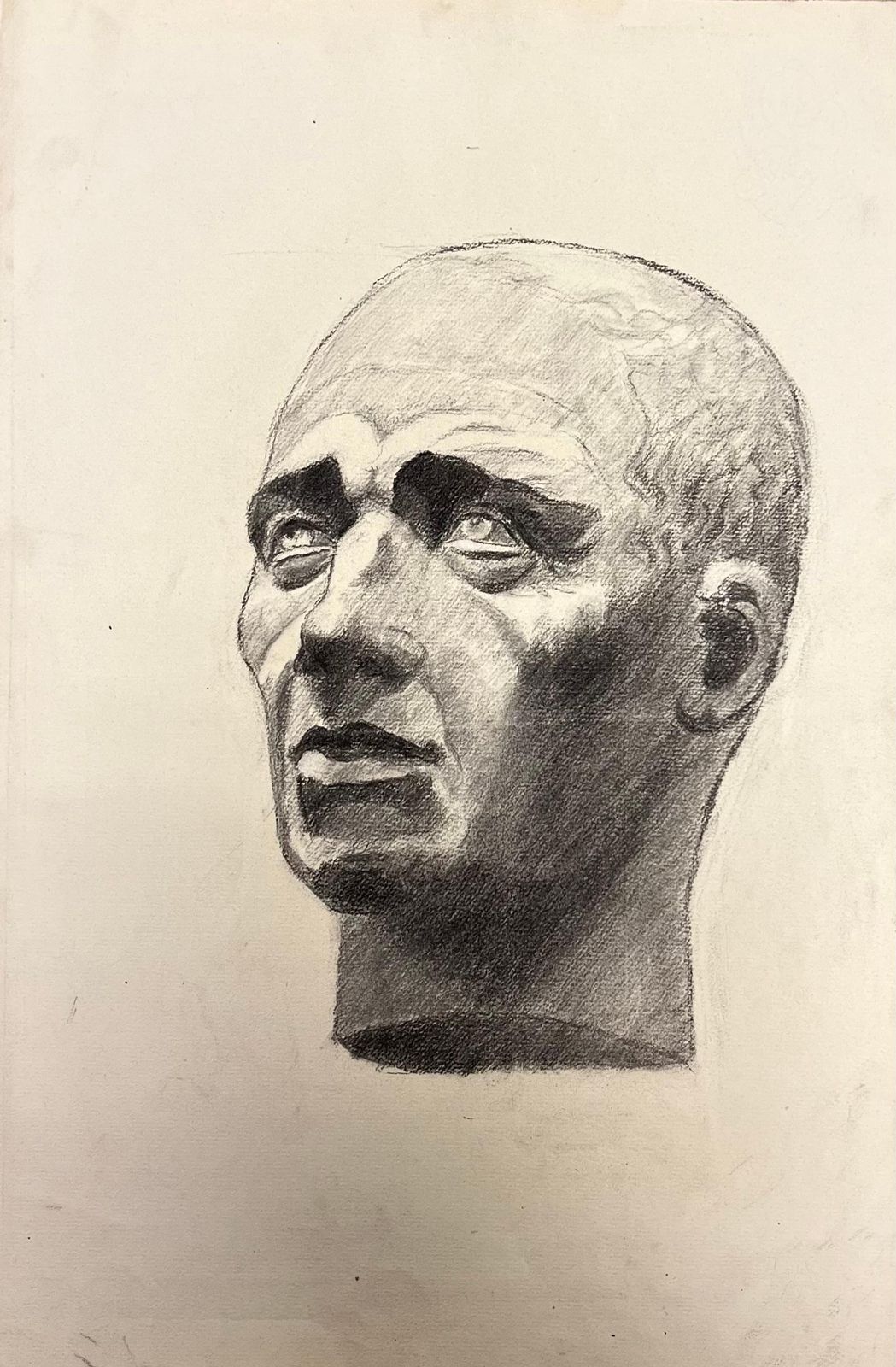 Josine Vignonmid Century French Drawing Of A Classical Bald Male Bust1945