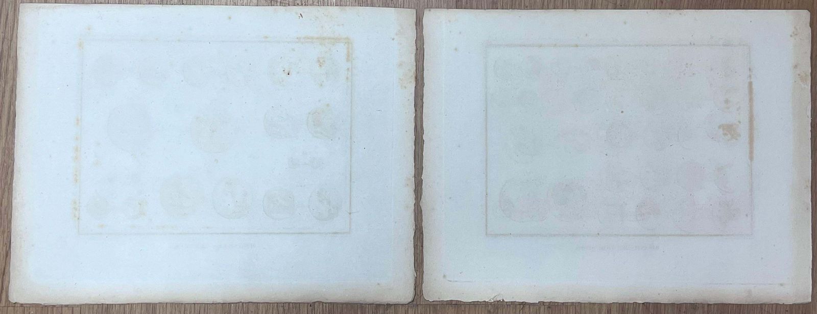 French Schoolpair Of Antique Engravings Depicting Ancient Greek Medallions And Coins19th Century photo Art