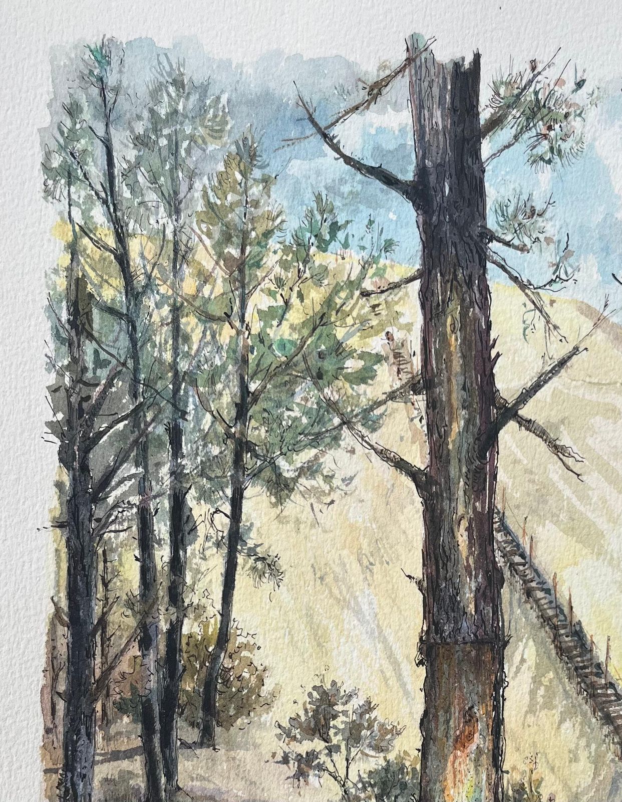 Robert Lepine (1929   2017)french Watercolor Painting Of “Pin En Gemmage” In Forested Dunes20th Century photo 331.0