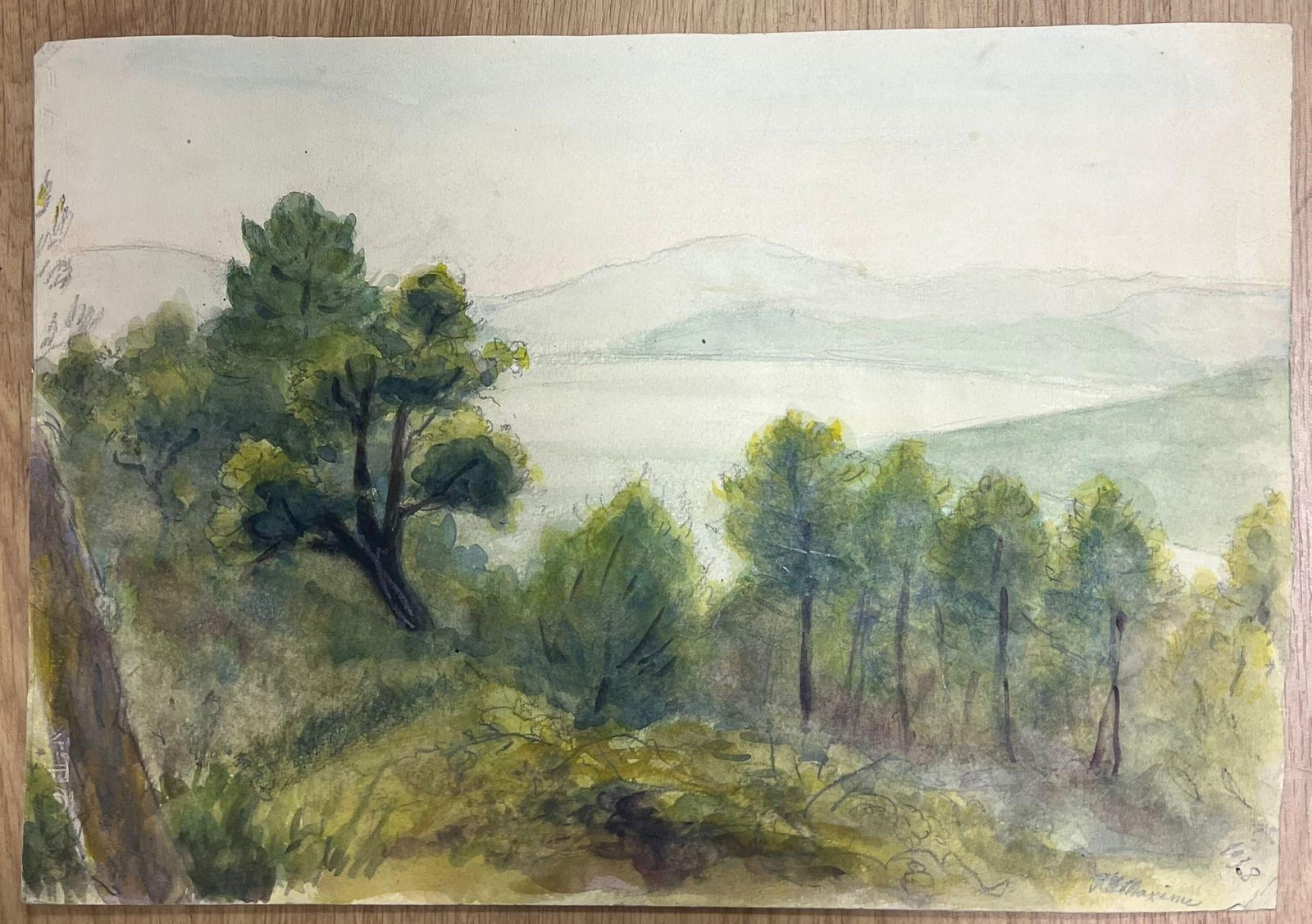 Regine Davidlandscape With A Dense Grove Of Evergreen Trees Overlooking Misty Hills1938 photo furniture
