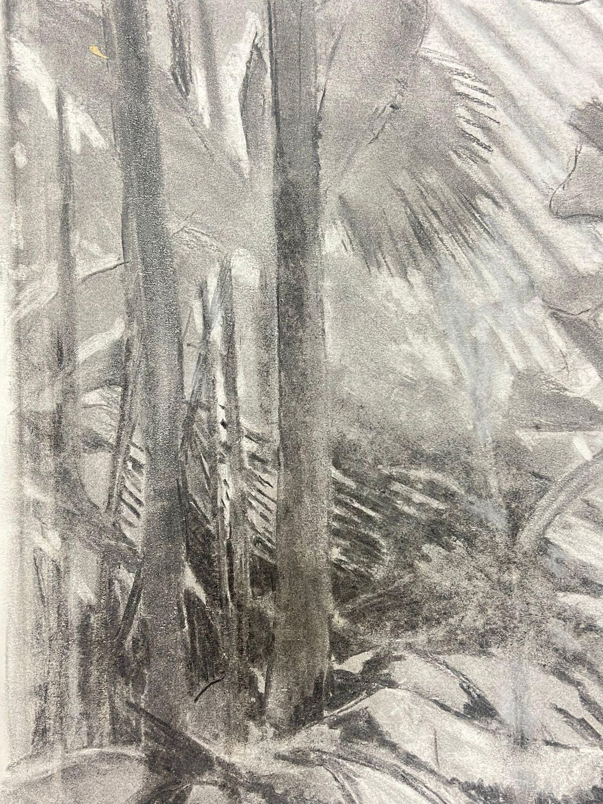 French Schoolmonochromatic Jungle Scene In Charcoal Mystery Of Tropical Wildernessmid 20th Century photo 428.0