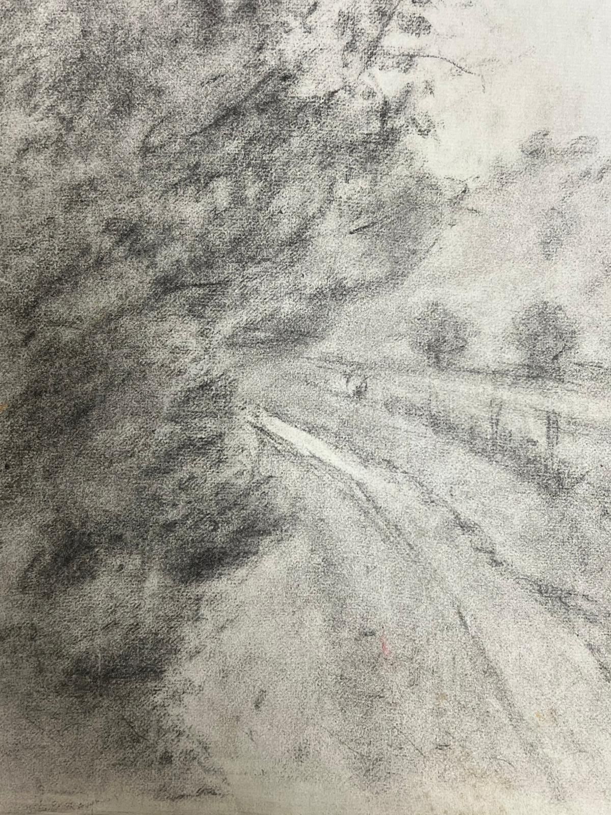 Regine Davidmisty Country Road Through Woodland Atmospheric Charcoal Landscape1957 photo Art