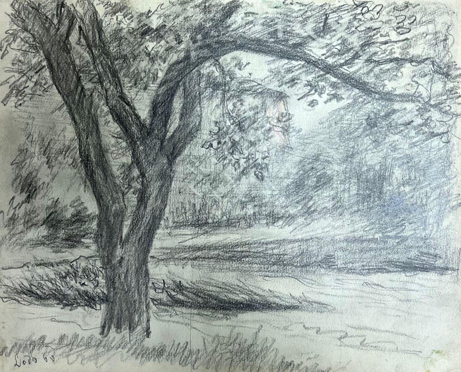 Regine Davidstudy Of A Tree In A Peaceful Meadow With Branches Stretching Out Landscape1957