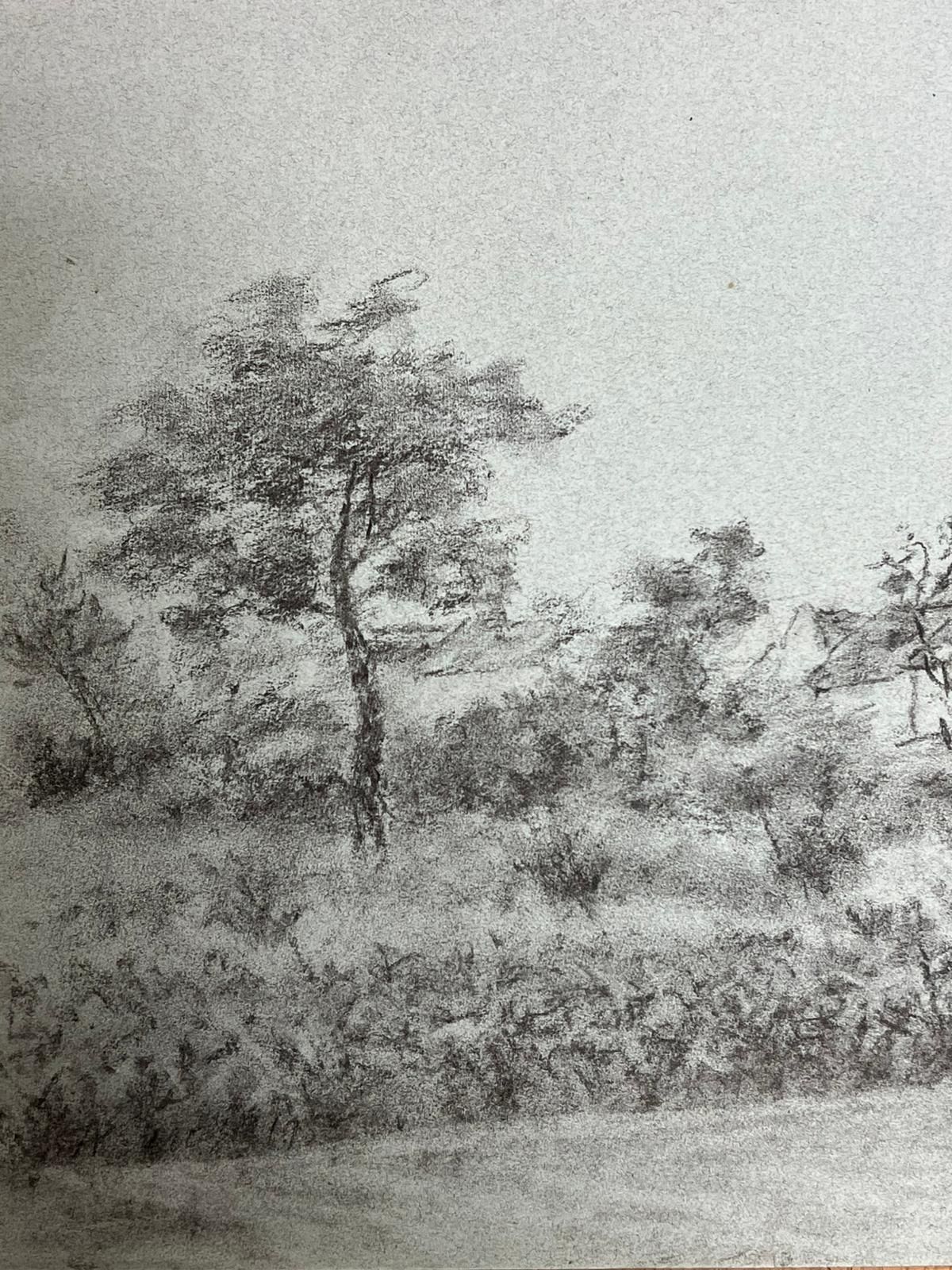 Regine Davidquiet Countryside Scene With Trees And Distant Cottage Serene Charcoal Drawing1947 photo for sale