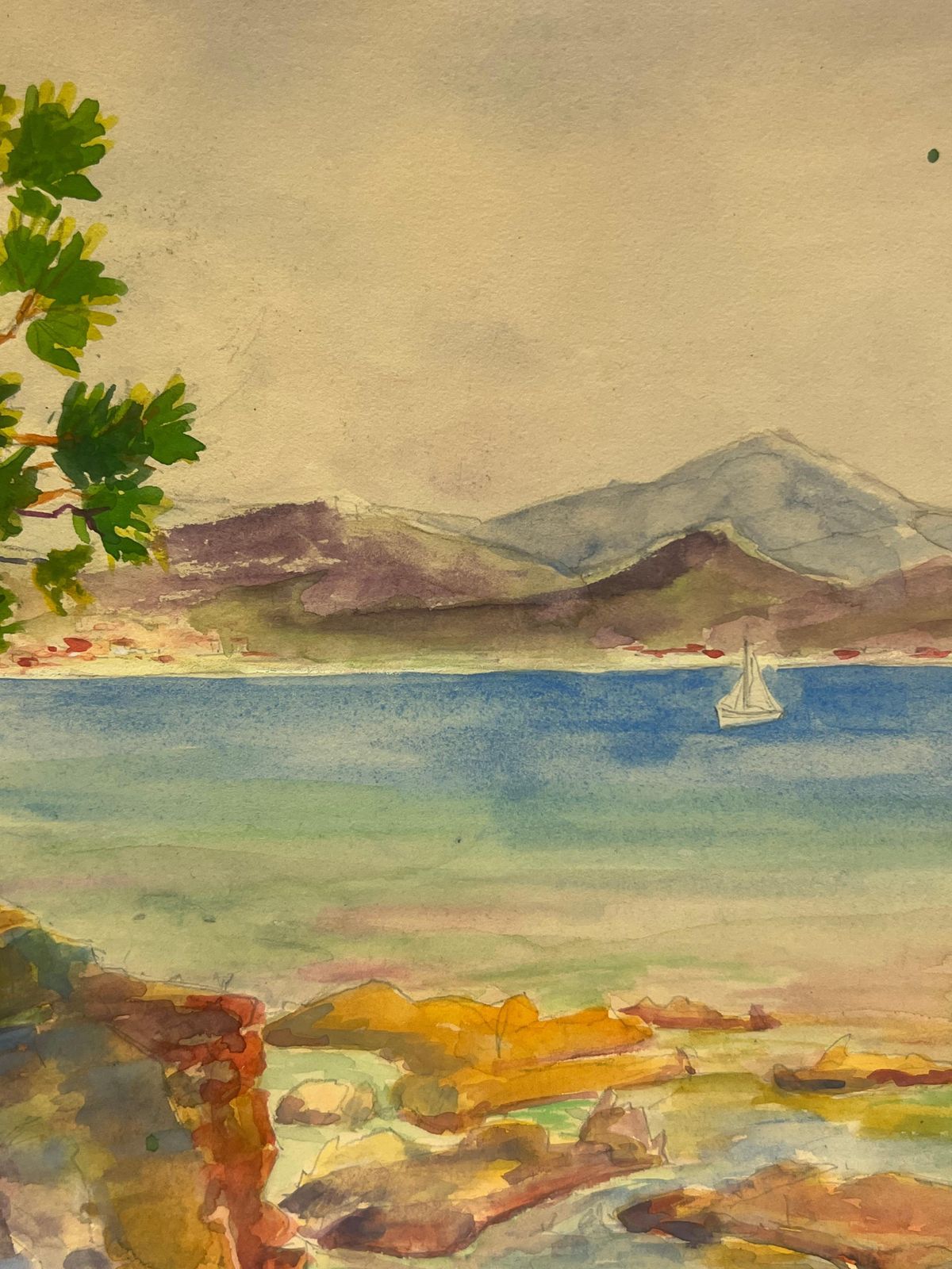 Regine Davidmediterranean Coastline With Pine Tree And Sailboat St Tropez Landscape1937 photo for sale