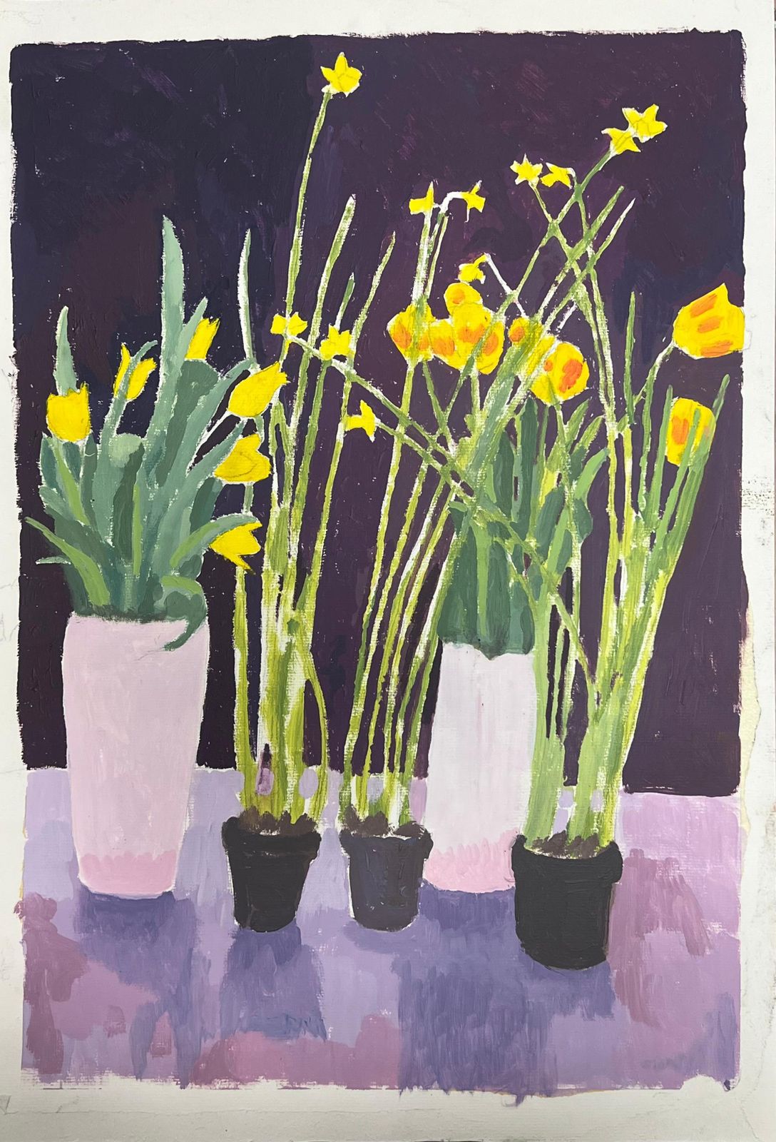 Helen Greenfieldbright Yellow Daffodils And Tulips In A Deep Purple Background photo furniture