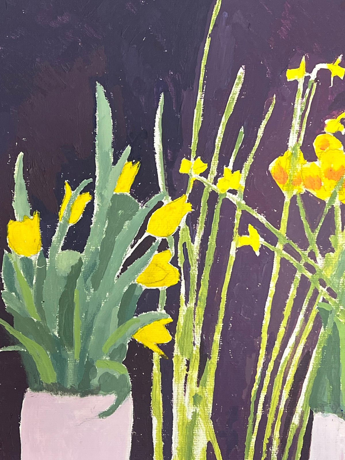 Helen Greenfieldbright Yellow Daffodils And Tulips In A Deep Purple Background photo Art