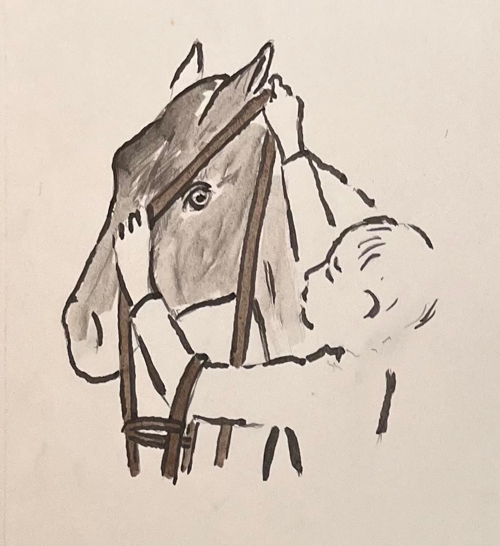 Robert Ladouoriginal French Anatomical Pencil Study Of A Horse Being Fitted With A Bridle20th Century photo for sale