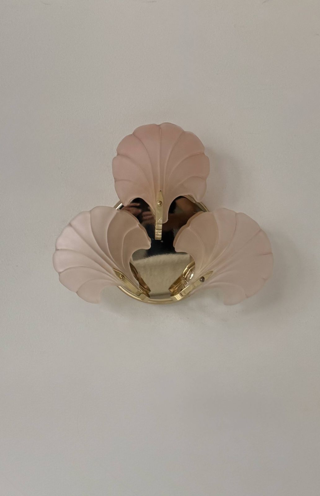 Vintage Wall Sconce With Seashells, Amber Glass And Brass, France, 1970 photo vinterior
