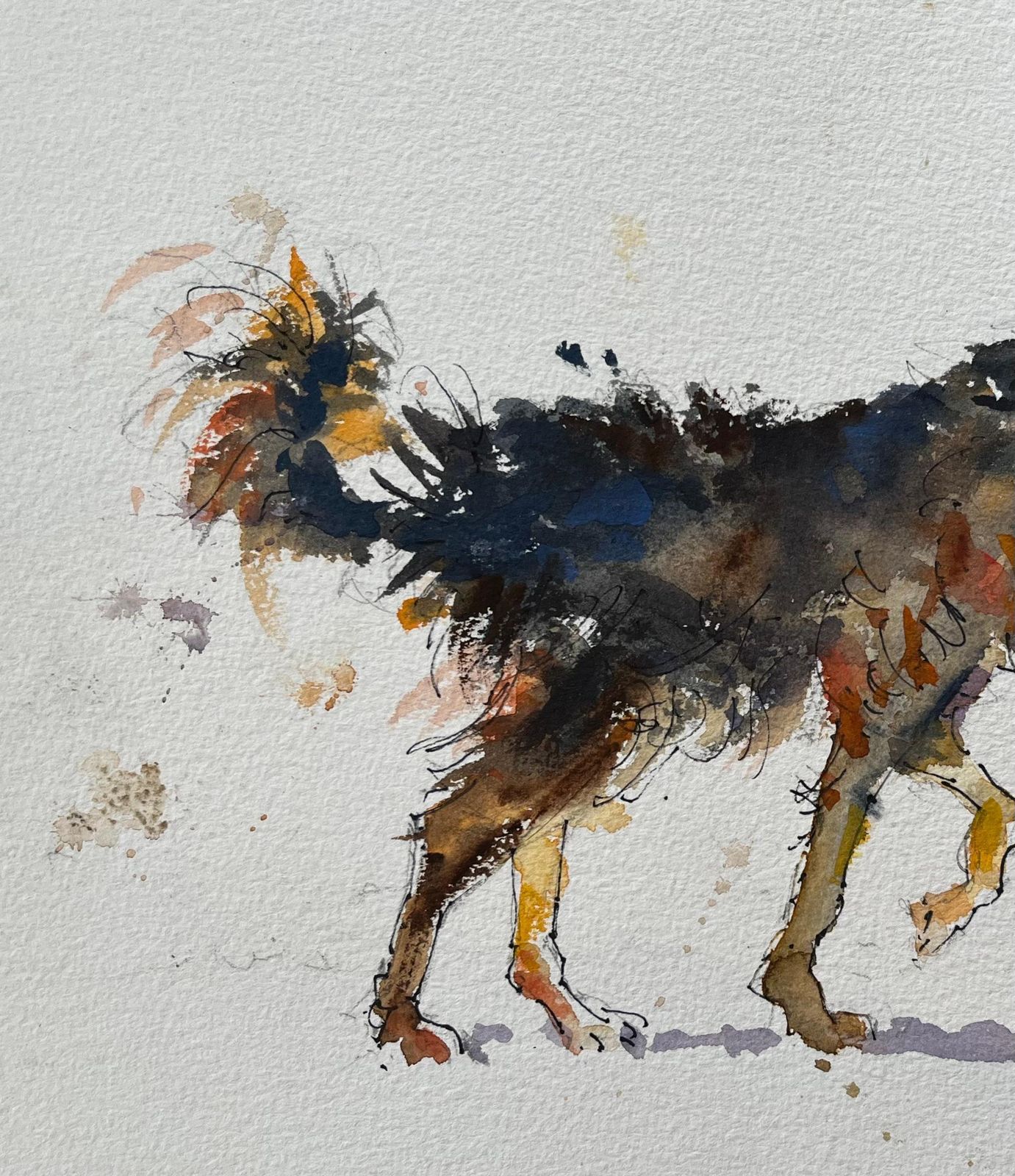 Anthony Avery British Impressionist Watercolor Of A Playful Canine In Motion photo Art