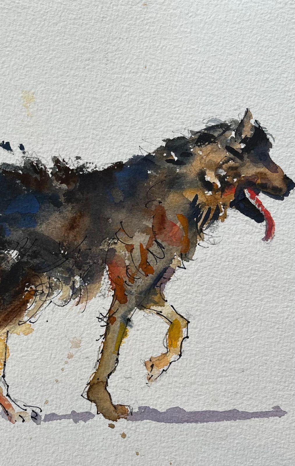 Anthony Avery British Impressionist Watercolor Of A Playful Canine In Motion photo 410.0