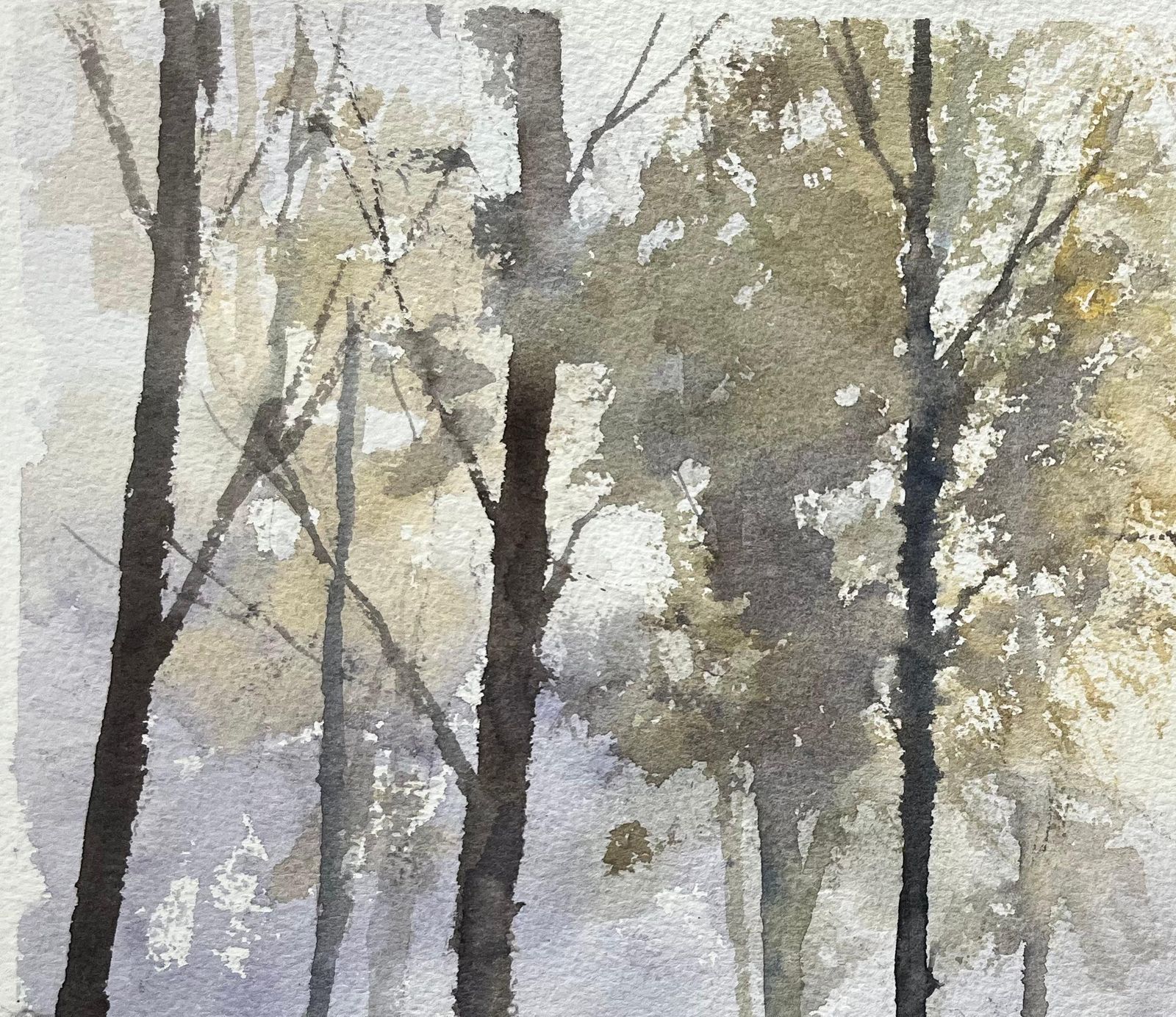 Anthony Avery British Impressionist Watercolor Of A Misty Woodland Scene With Shadows photo vinterior