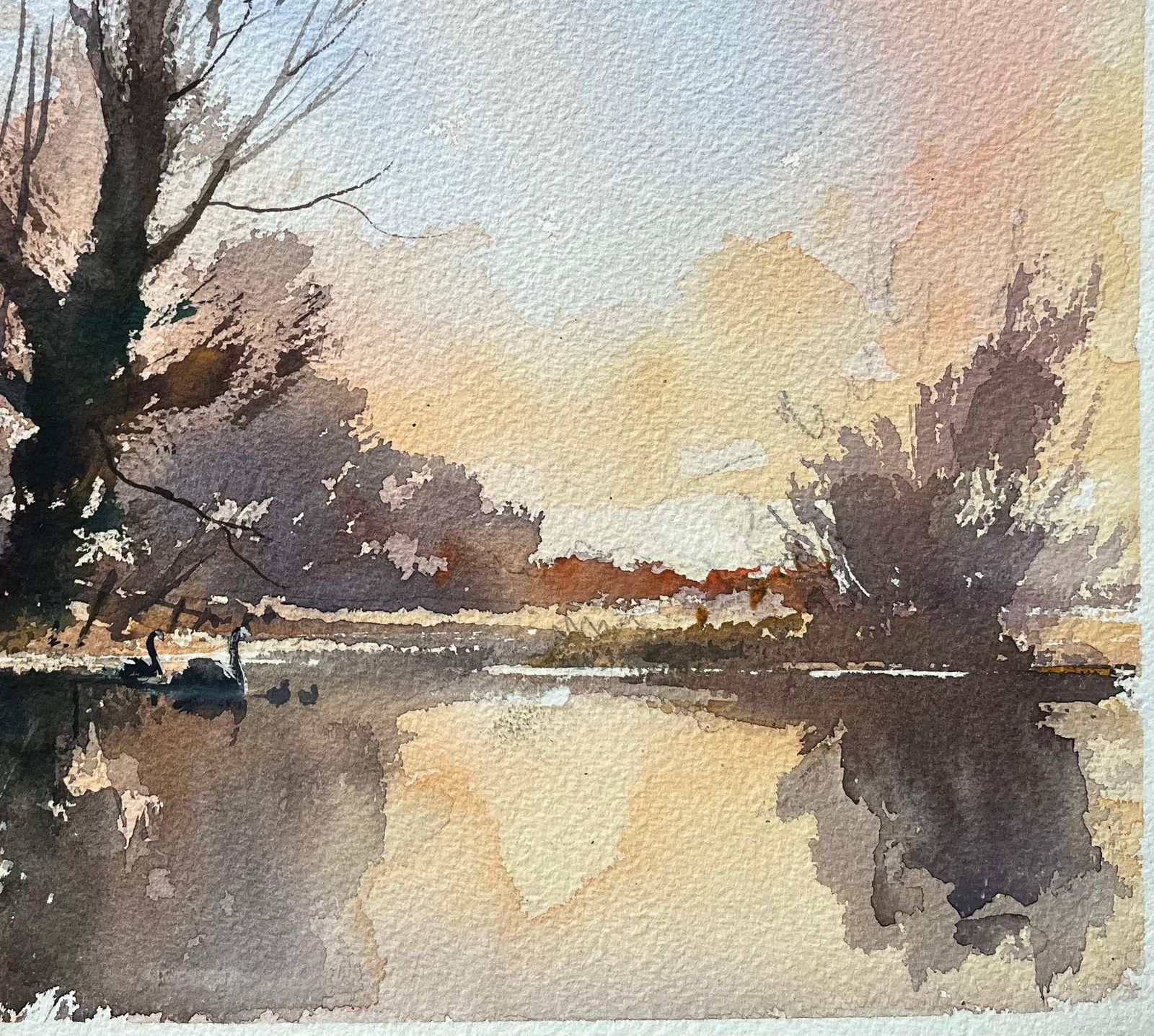 Anthony Avery British Impressionist Watercolor Of Swans At Dusk By A Riverside Tree photo for sale