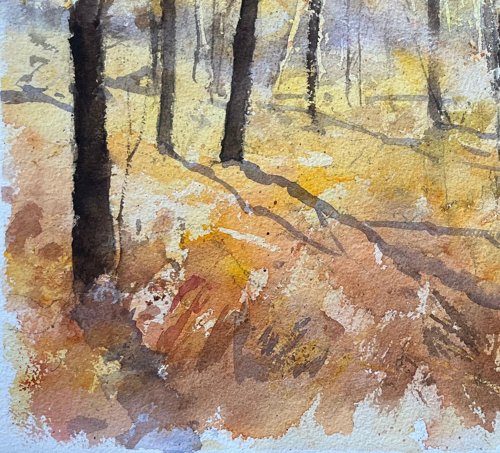 Anthony Avery British Impressionist Watercolor Of A Serene Autumn Woodland Scene photo 395.0