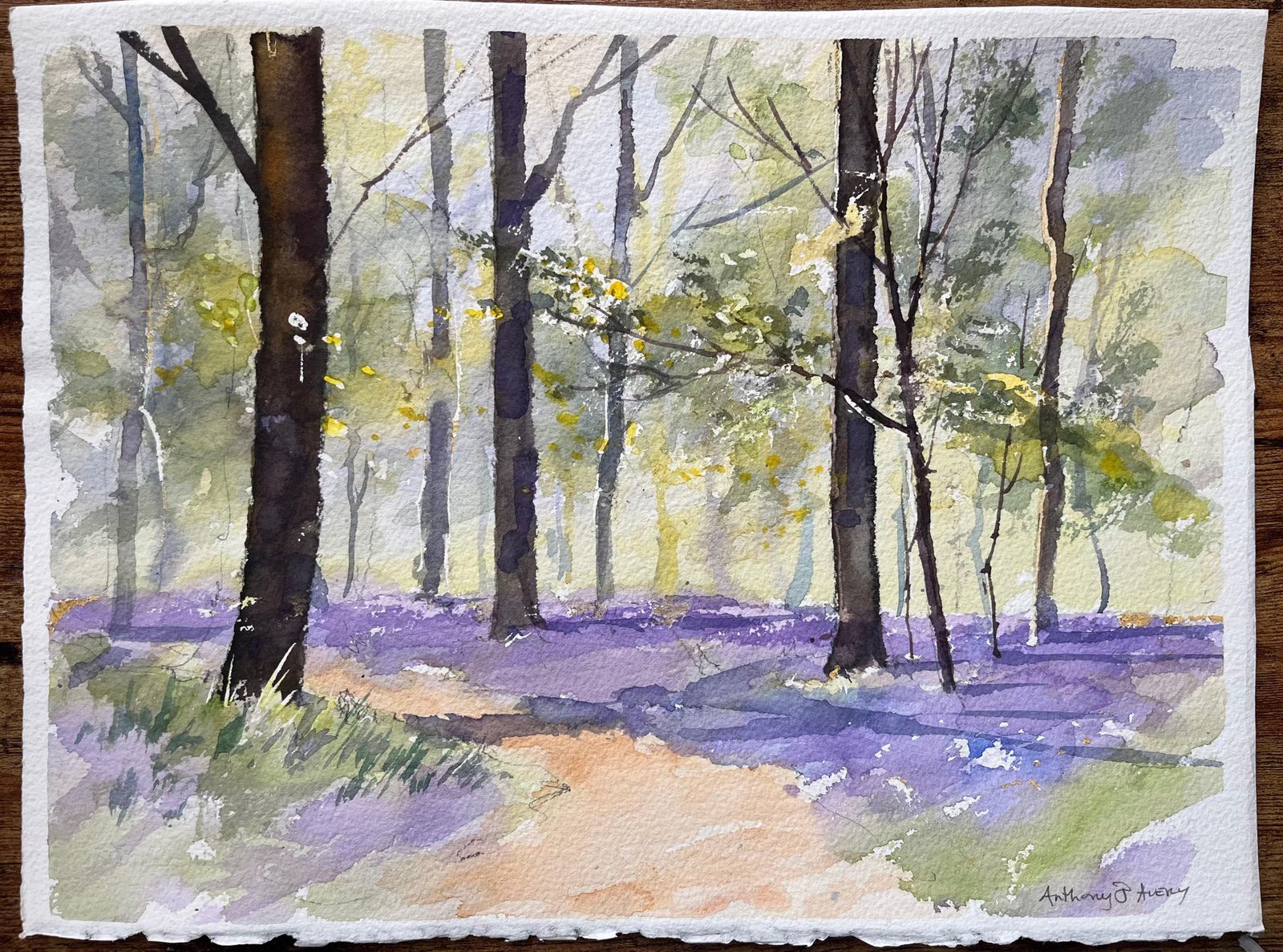 Anthony Avery British Impressionist Watercolor Of A Sunlit Woodland Scene With Bluebells photo furniture