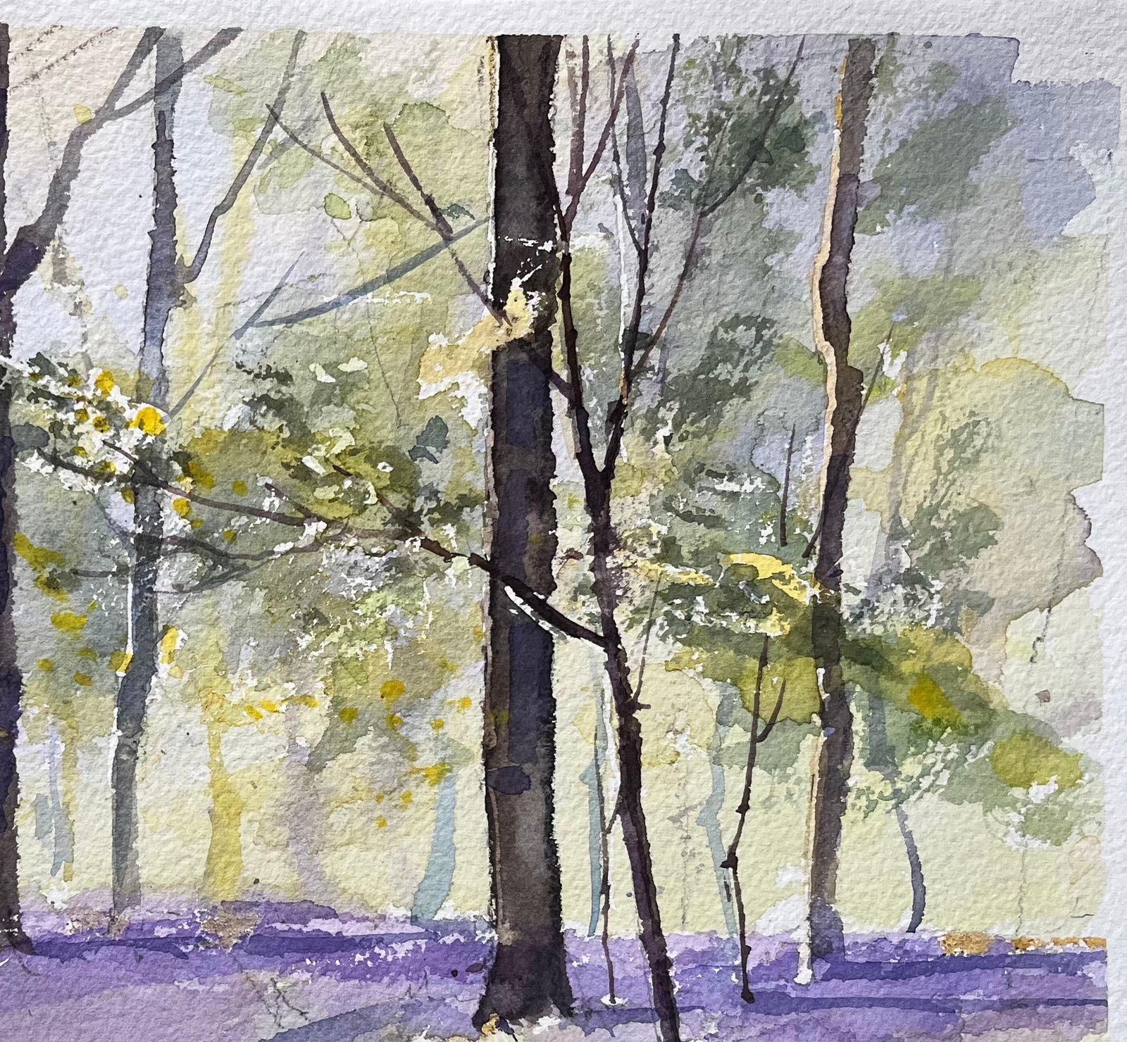 Anthony Avery British Impressionist Watercolor Of A Sunlit Woodland Scene With Bluebells photo Art
