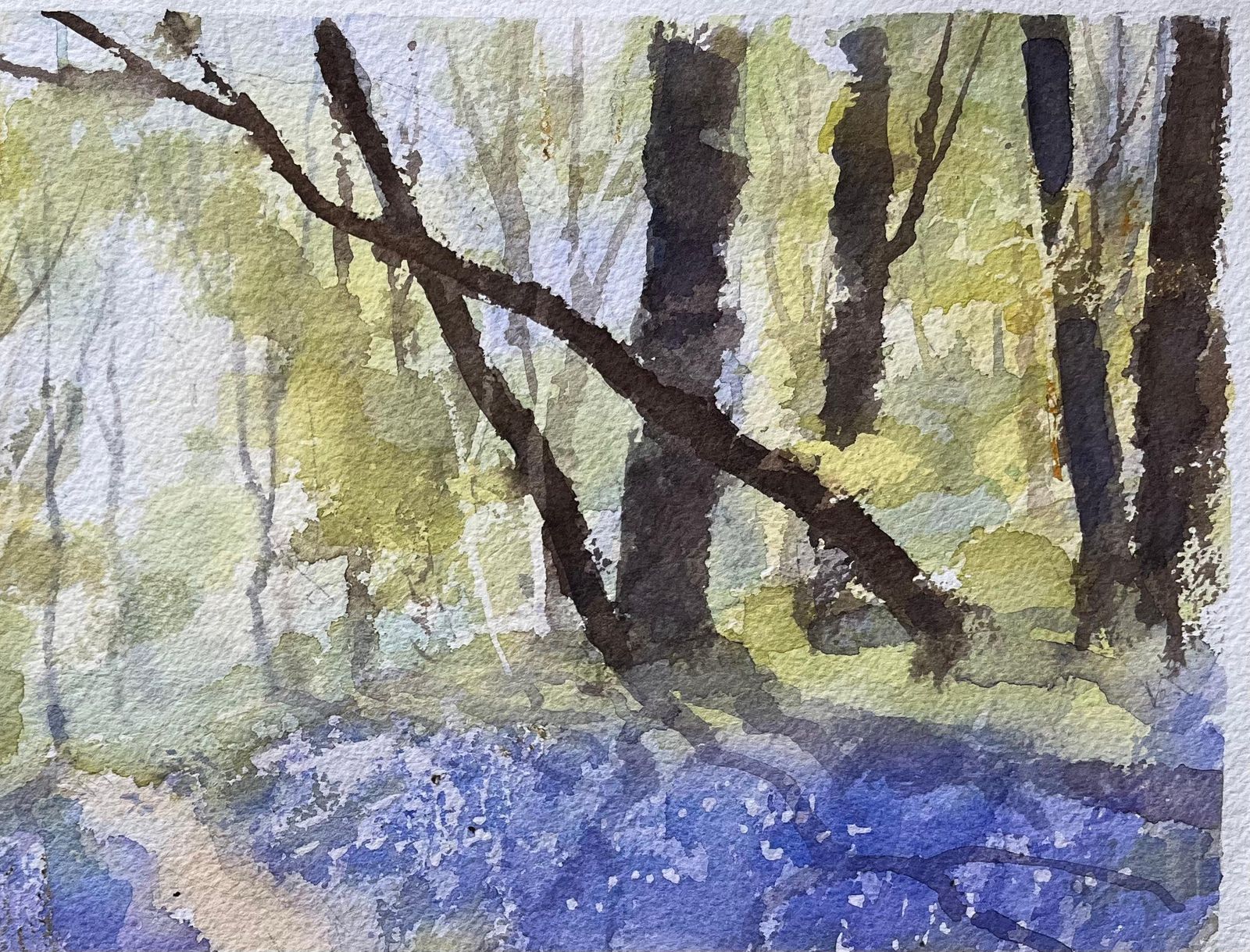Anthony Avery British Impressionist Watercolor Of A Woodland Path With Spring Bluebells photo Art