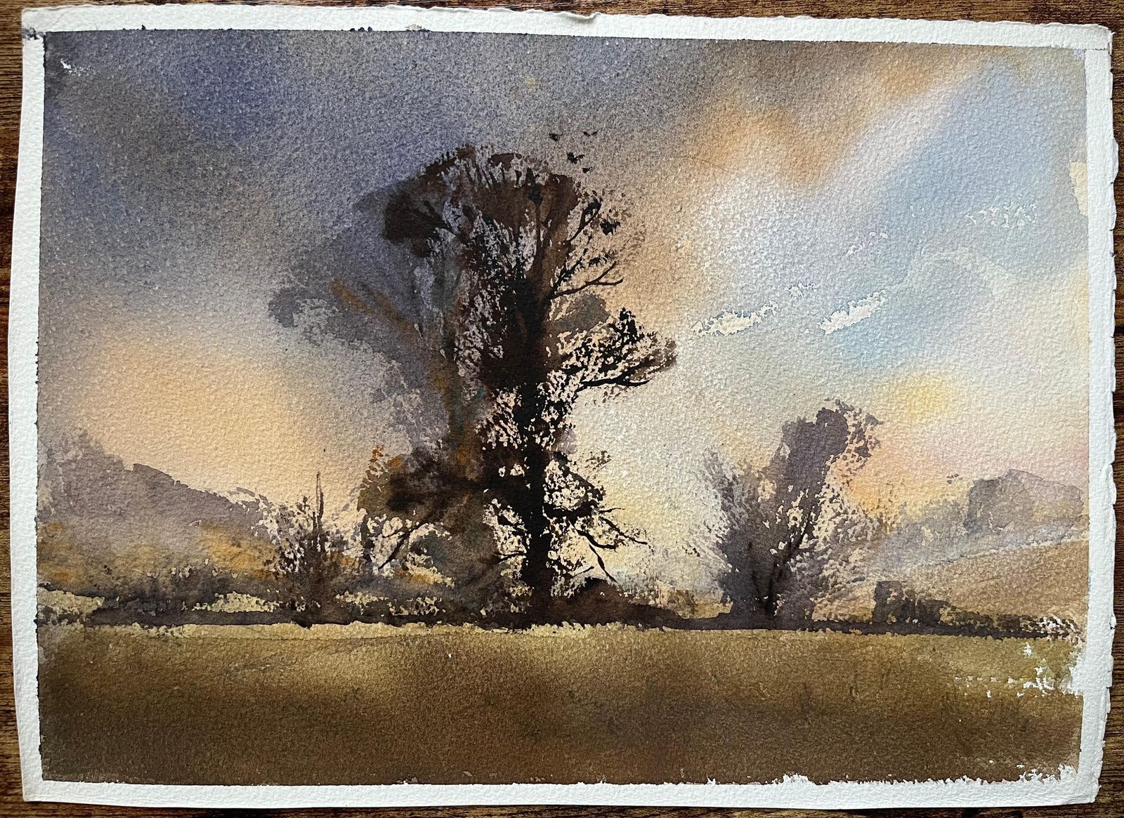 Anthony Avery British Impressionist Watercolor Of A Tree Silhouette Against A Dramatic Sunset photo furniture