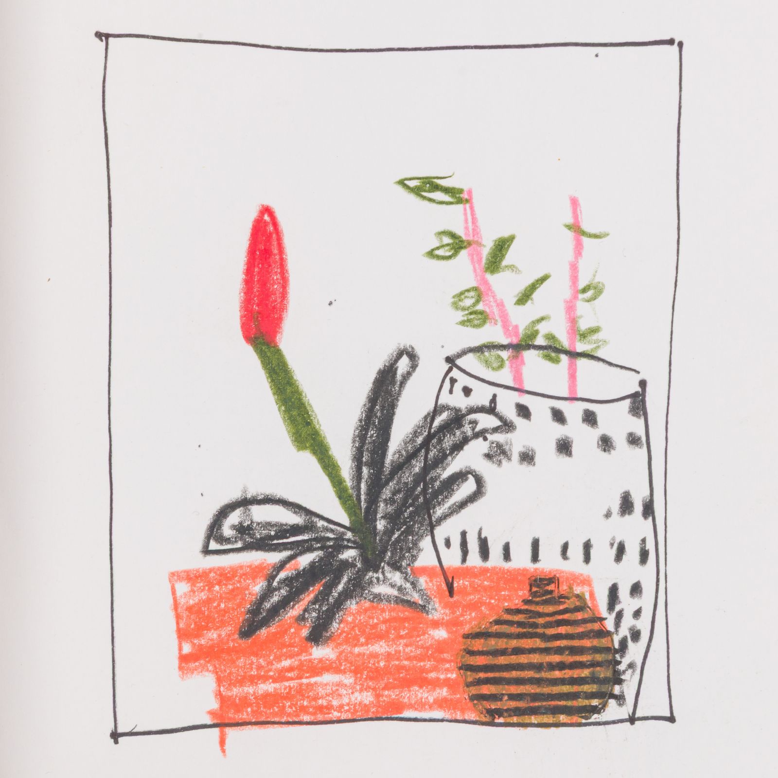 Jonas Wood Untitled (Drawing Of Plant Still Life) photo for sale