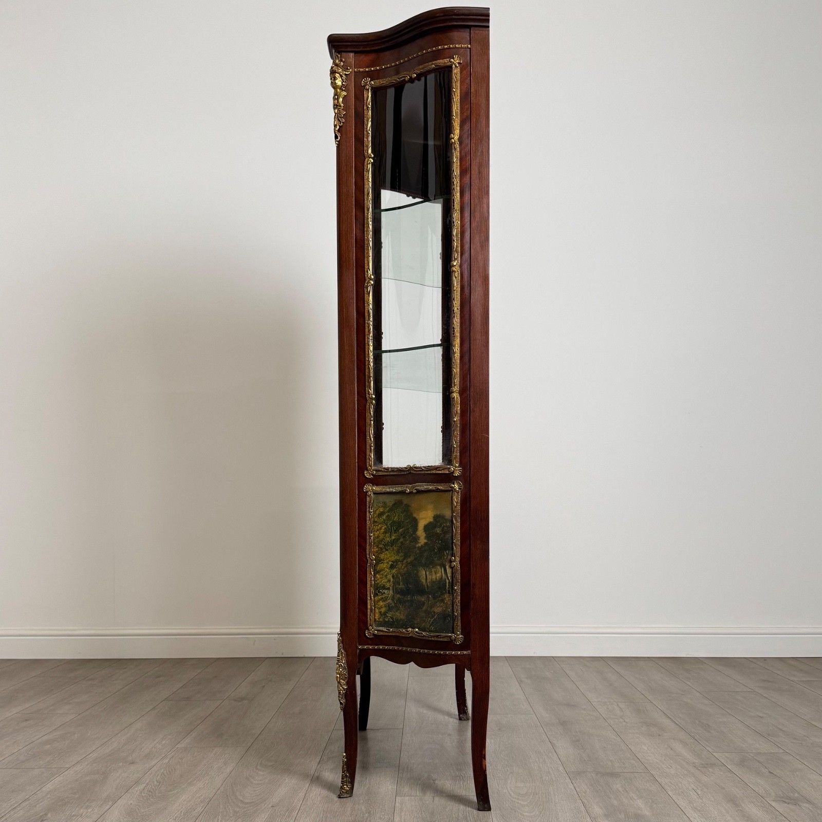 Antique 20th Century Painted French Display Cabinet In Mahogany ( Af 4953 ) photo Furniture