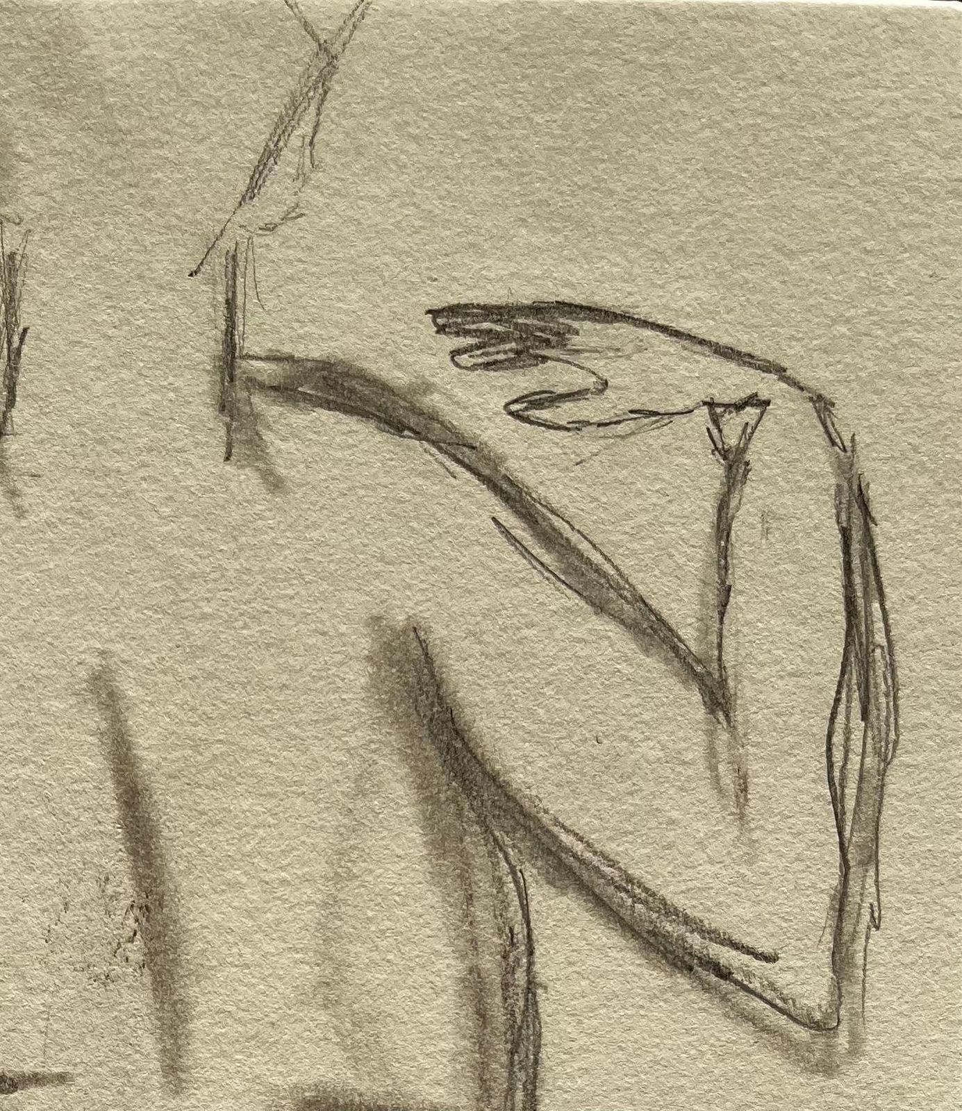 Minty Ramsey Back View Nude Female Figure Sketch Expressive Contemporary Pencil Life Drawing 2025 photo for sale