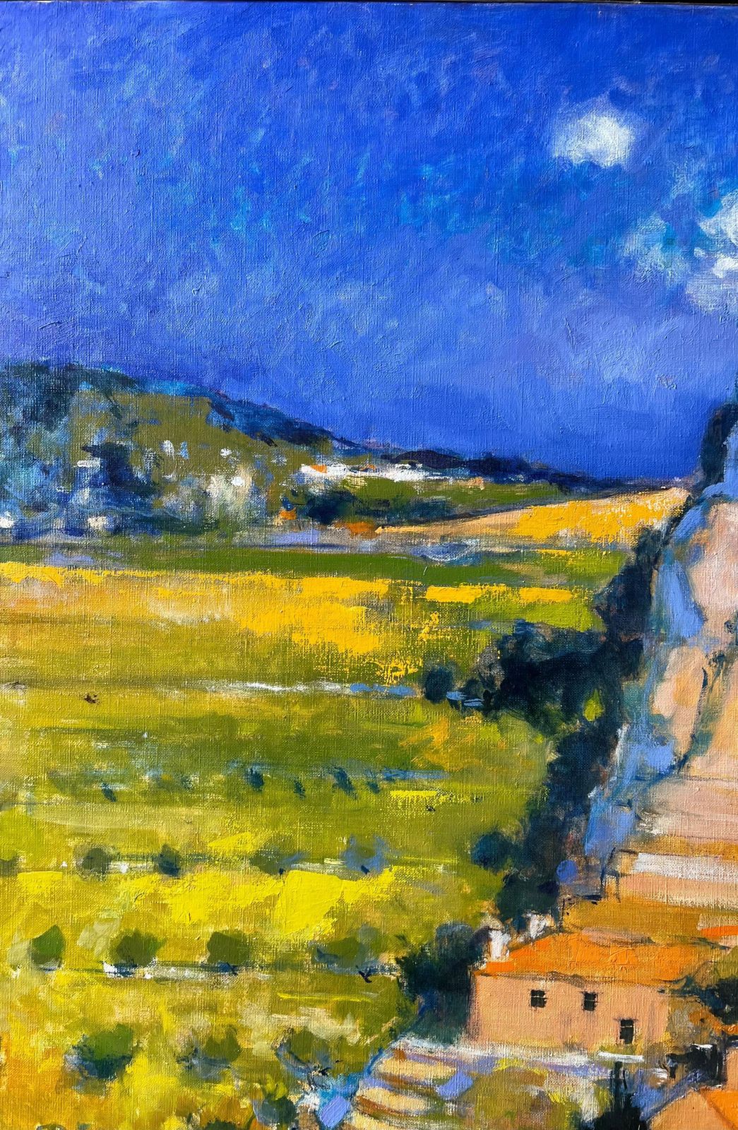 Pierre Neveu Huge Sunlit Hilltop Balazuc With Tall Cliffs And Terracotta Homes Oil Painting photo vinterior