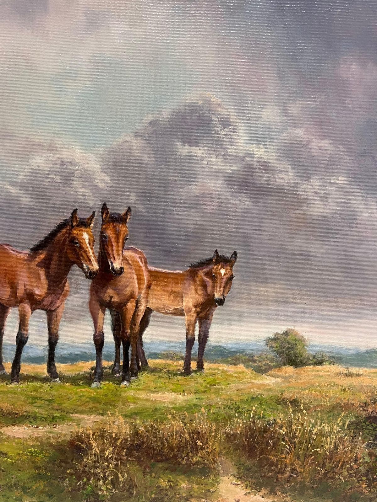 Frank Wright Ponies On Dartmoor Vintage 20th Century English Signed Oil Painting photo Art