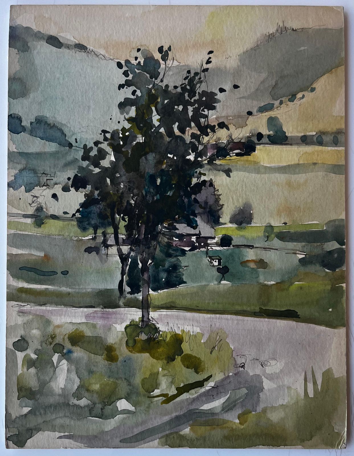 Pierre Neveu Tree In Mountain Valley French Landscape Watercolour By Pierre Neveu photo for sale