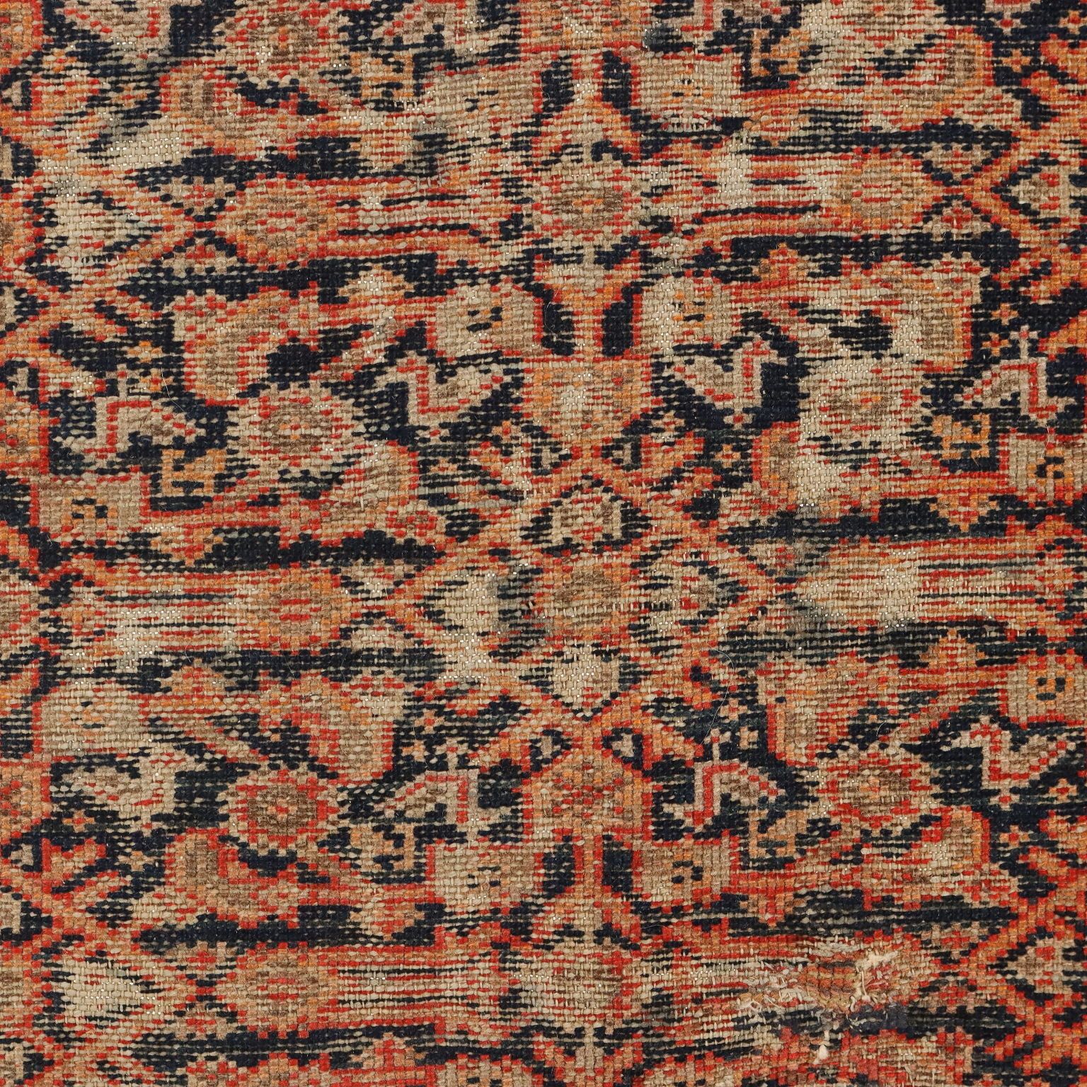 Antique Asian Carpet Cotton Wool Extra Thin Knot 71 X 51 In photo for sale