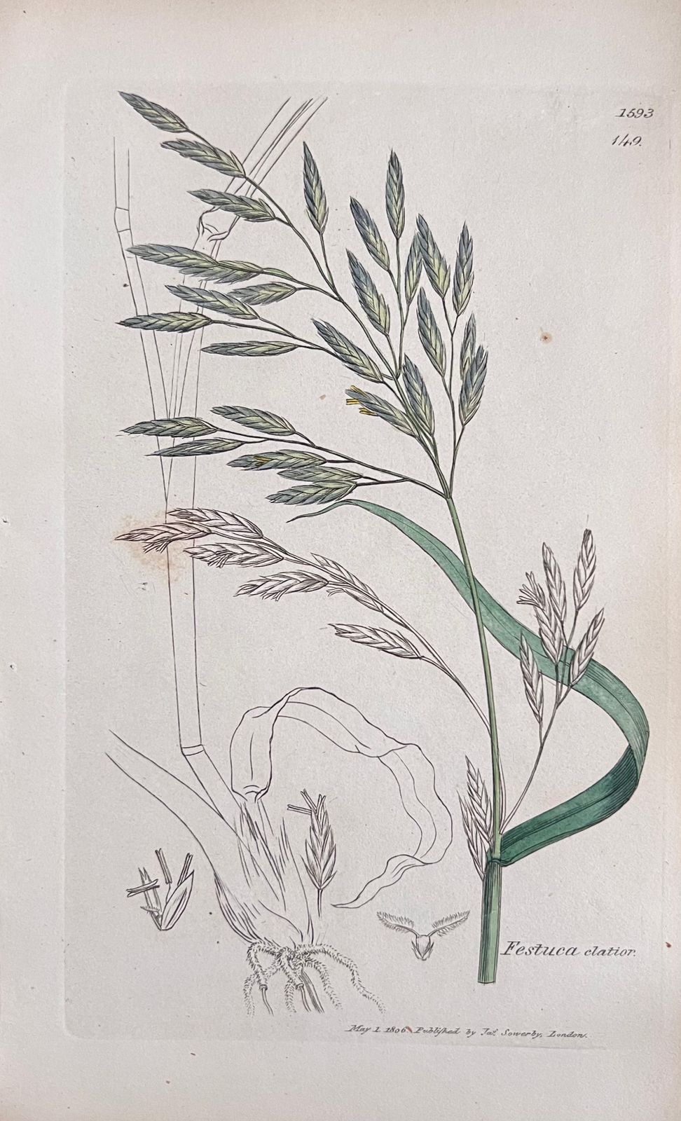Unknown Set Of Six Fine Antique British Hand Coloured Botanical Prints, Circa 1900's Early Mid 19th Century photo furniture