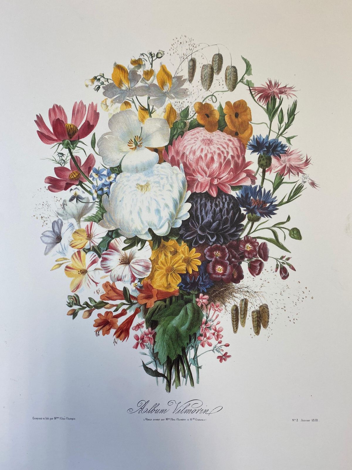 Unknown Set Of Nine Botanical Floral Colored Prints, Ideal Gallery Wall Project 20th Century photo vinterior