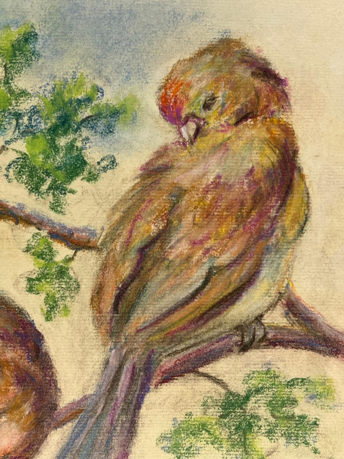 Regine David Mid 20th Century A Pastel Study Of Two Birds In Springtime 1947 photo for sale