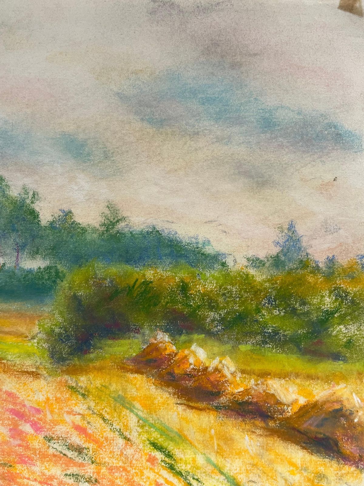 Regine David Golden Harvest Fields Under A Cloudy Sky A Pastel Landscape Of Rural Tranquility 1949 photo Art