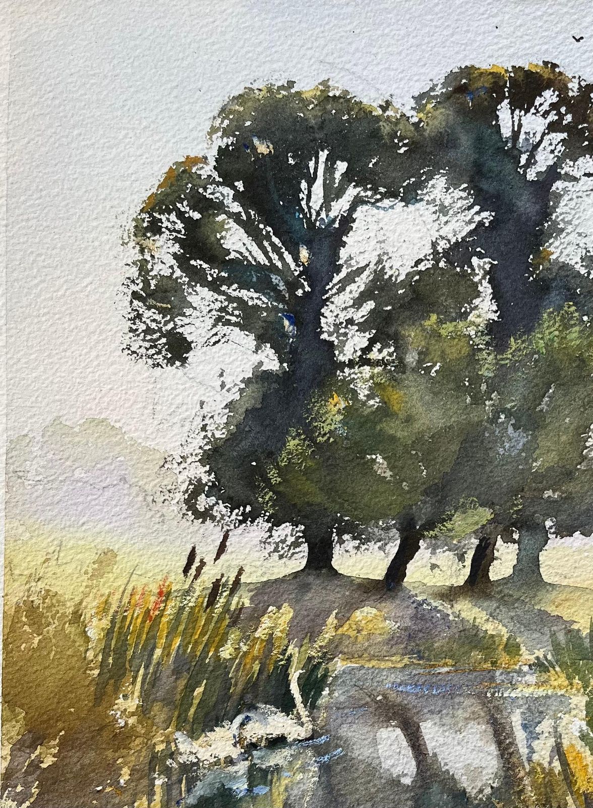 Anthony Avery British Original Watercolor Of A Marshland With Trees, Reflections, And Swans photo vinterior