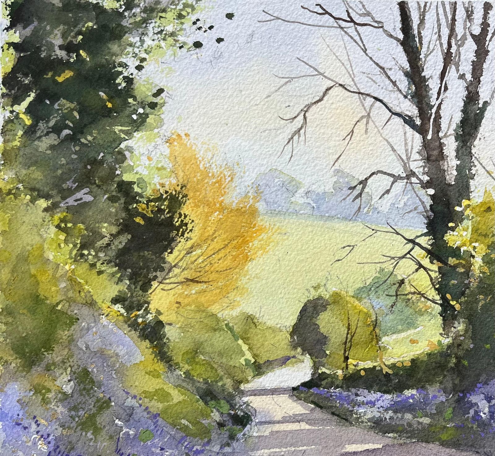 Anthony Avery British Impressionist Watercolor Of A Country Lane With Spring Bluebells photo 405.0