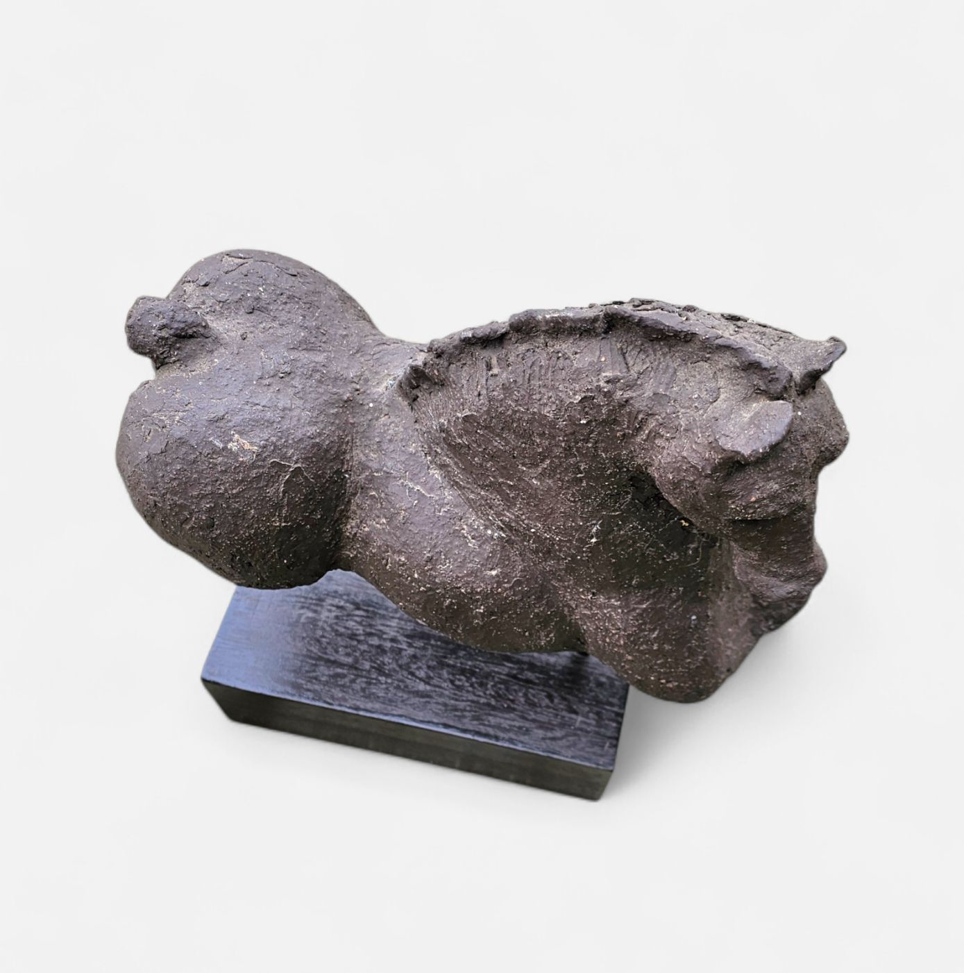 Ceramic Sculpture / Horse Torso On A Wooden Pedestal / photo Art