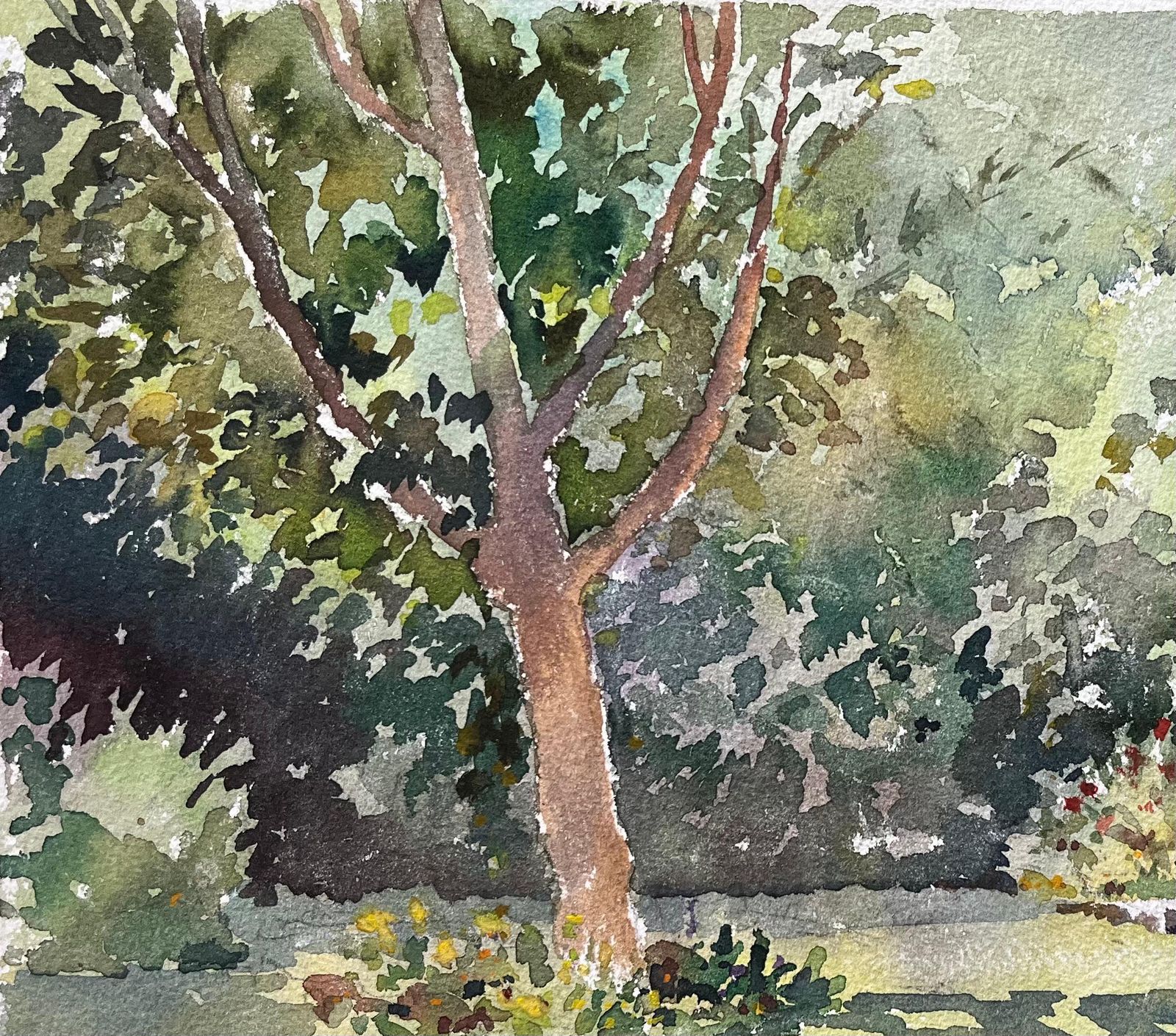 Anthony Avery British Impressionist Watercolor Of A Sunlit Garden With Tree And Flowers photo vinterior
