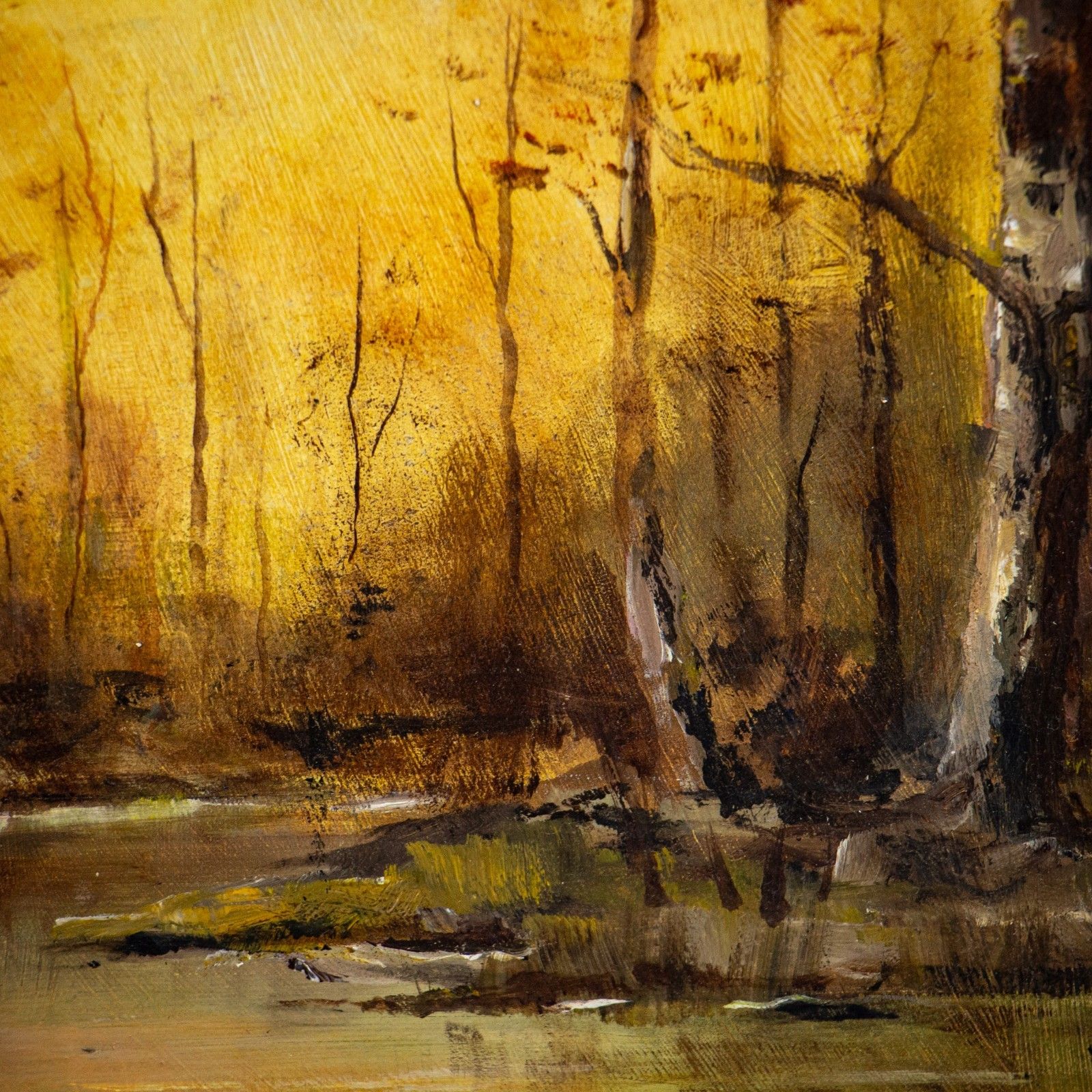 Woodland Landscape Oil On Board Signed W. Thompson photo 330.0