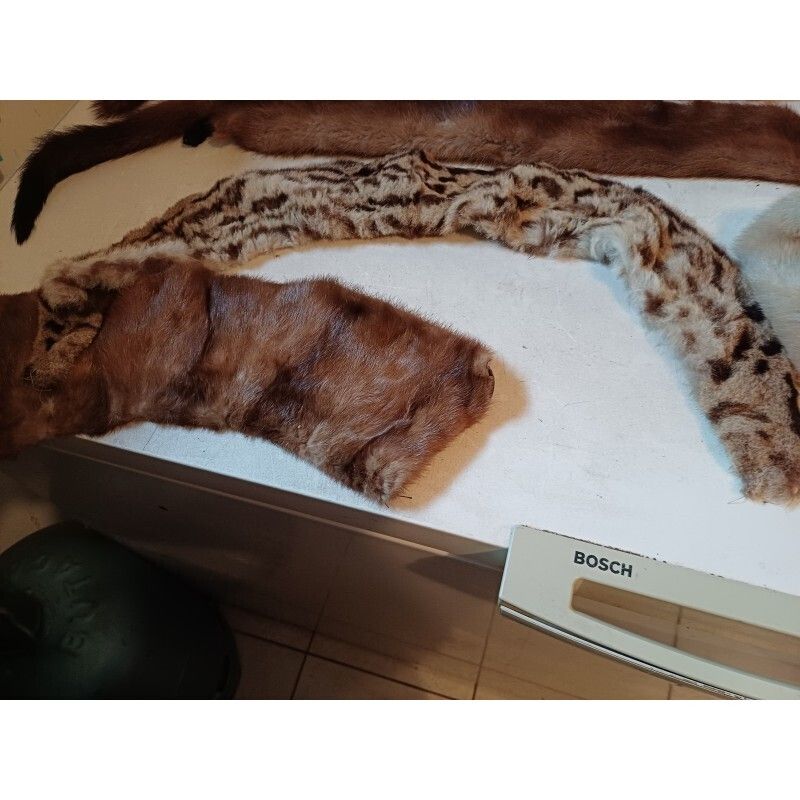 Lot Of Furs La Belle Fourure Limoges photo buy
