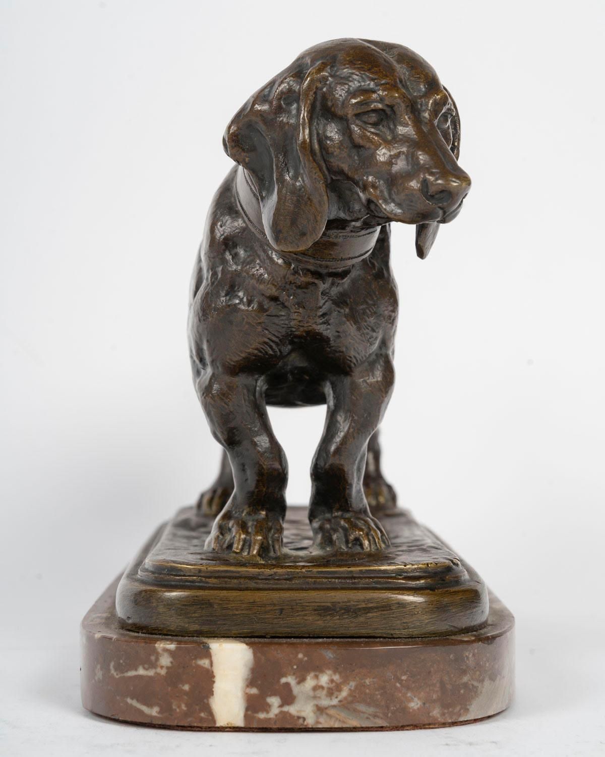 Bronze Sculpture Of A Basset Hound In Patinated Bronze, Signed Barye. photo vinterior