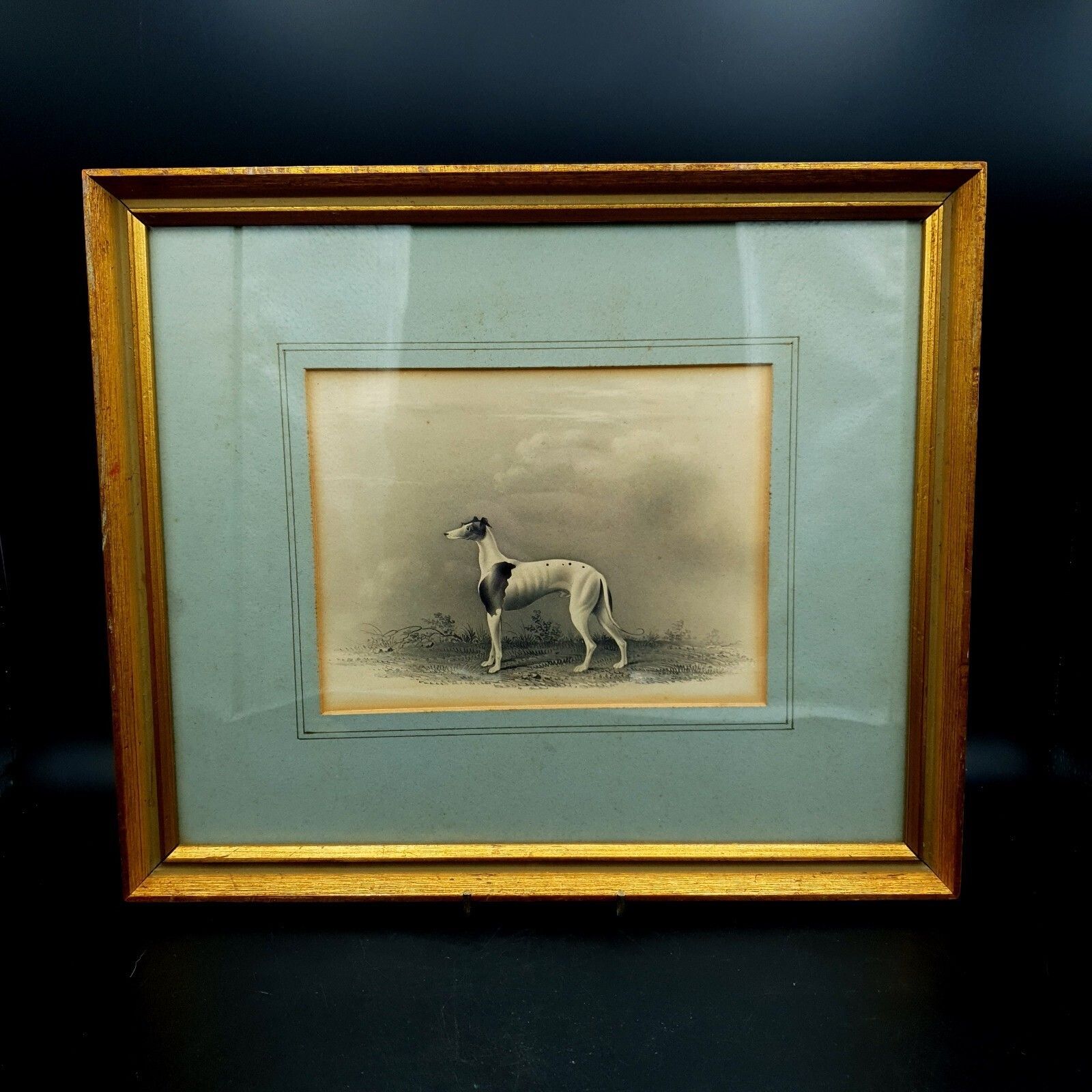 Early 19thc Original Greyhound Drawing On Card C1800–1830 British Sporting Art