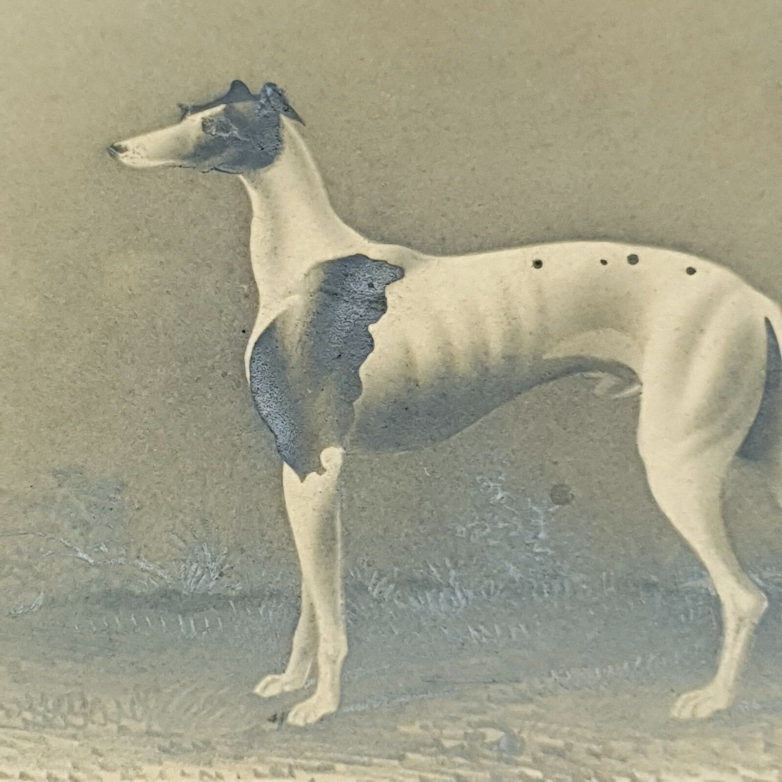 photo furniture Early 19thc Original Greyhound Drawing On Card C1800–1830 British Sporting Art