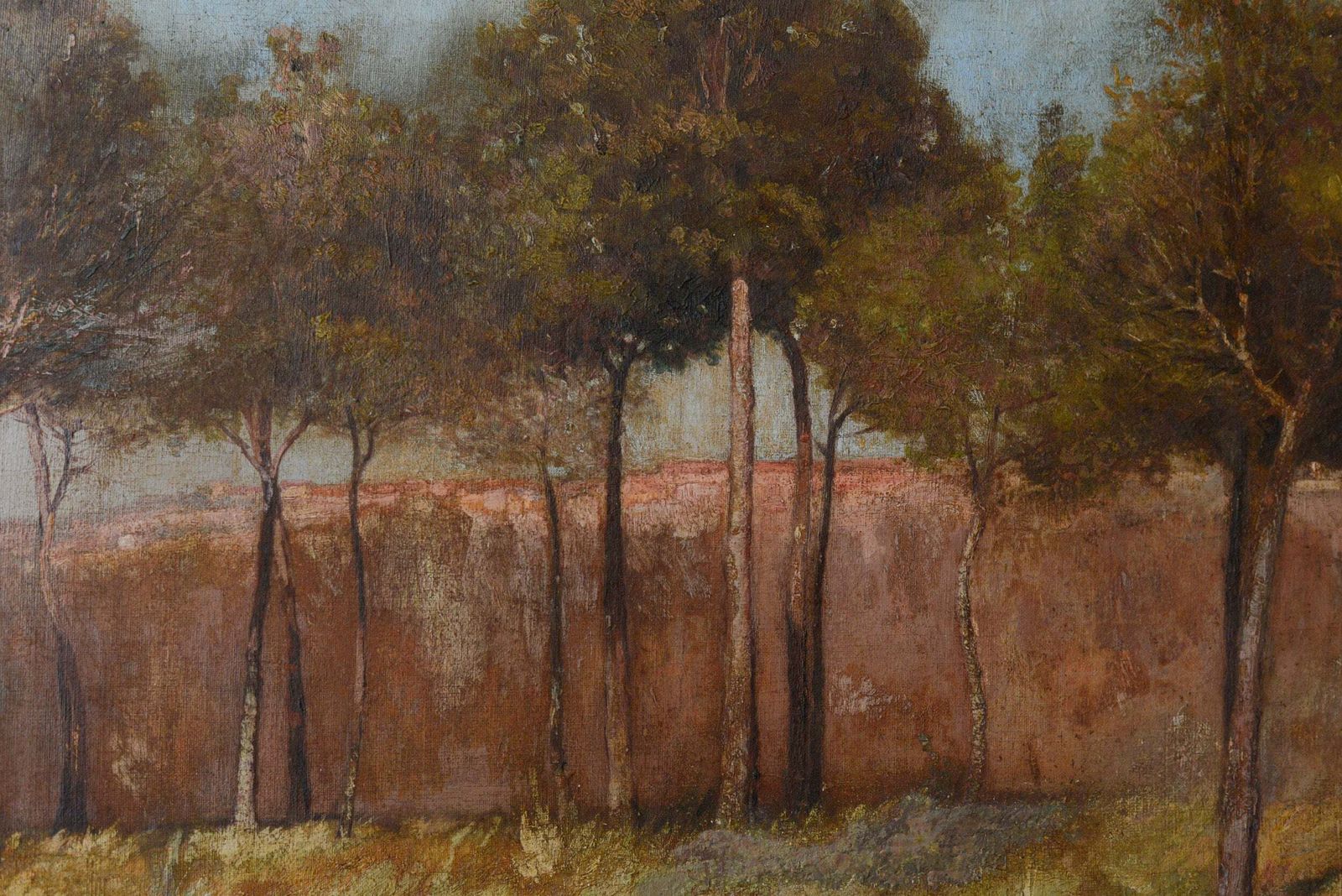Golden Landscape With Distant Settlement, Reminiscent Of Orange Road, Tarpon Springs (C. 1893) photo Art