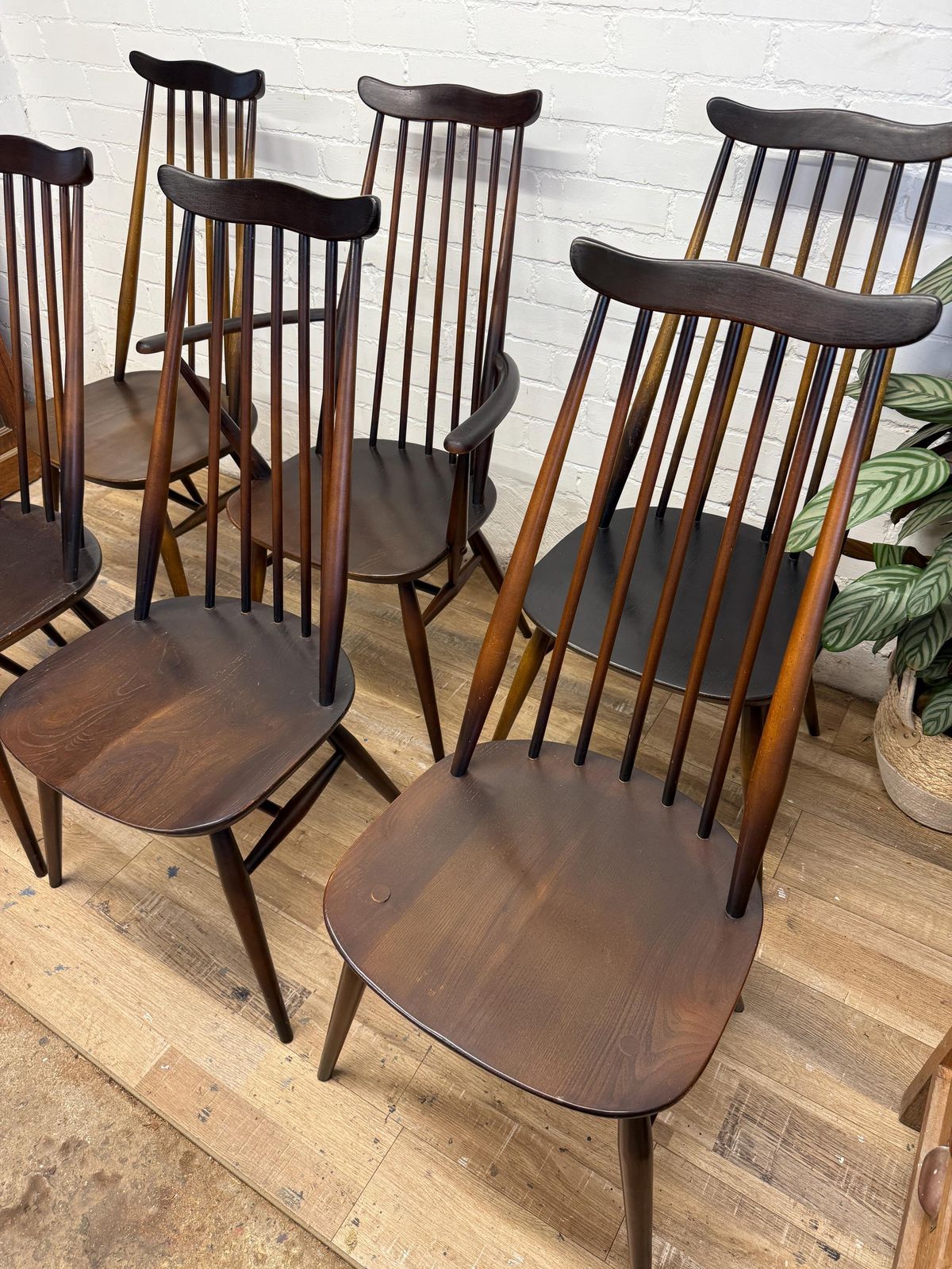 Ercol Goldsmith Dining Chairs – Set Of 6 (Including Carver) photo Furniture
