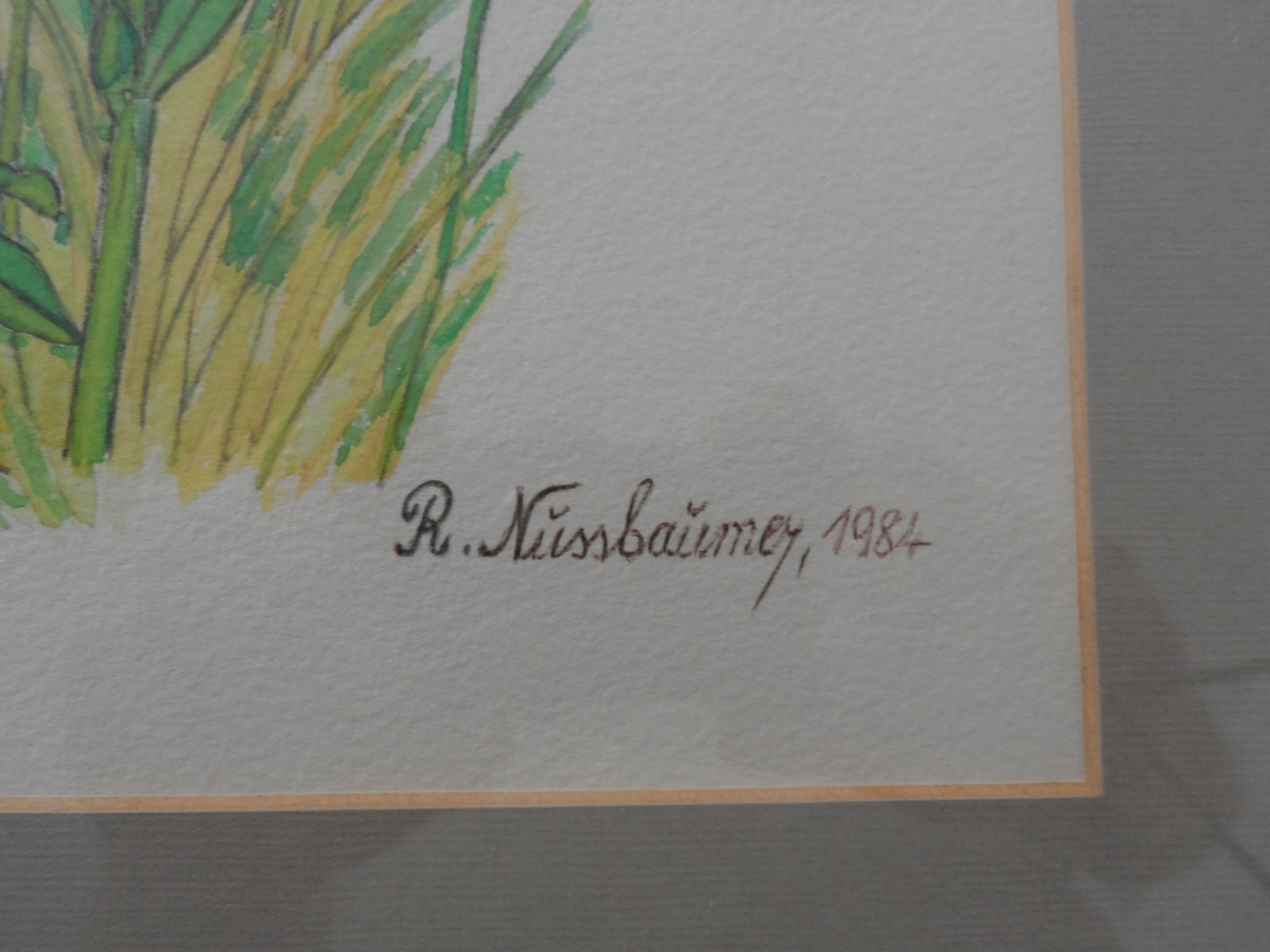 3x Vintage 1980s Signed And Framed Watercolours Of Wild Flowers By R Nussbaumer photo buy