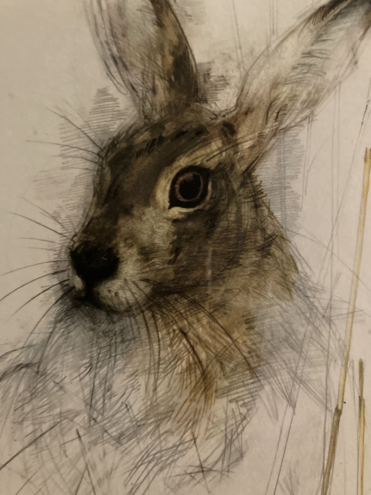 Print Of A Hare By The Acclaimed Danish Artist And Illustrator Mads Stage photo furniture
