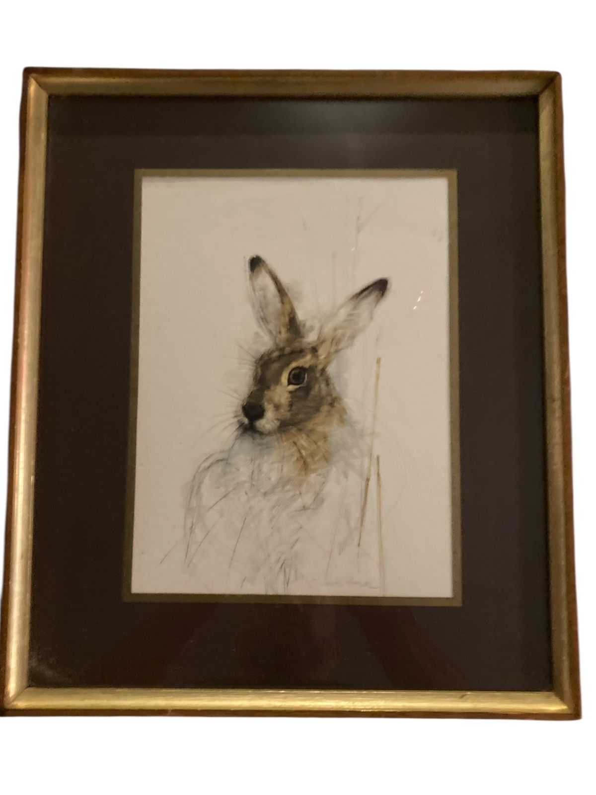 Print Of A Hare By The Acclaimed Danish Artist And Illustrator Mads Stage