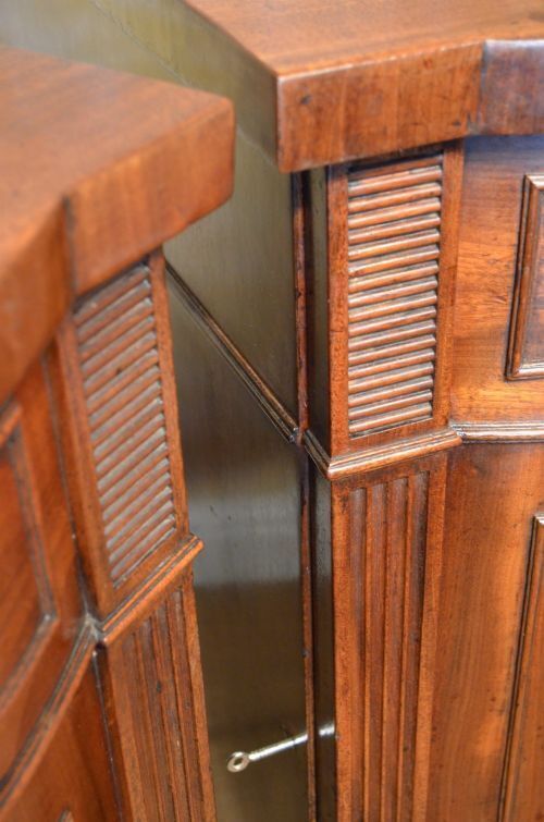 1195.0 A Pair Of Regency Mahogany Pedestal Cabinets photo