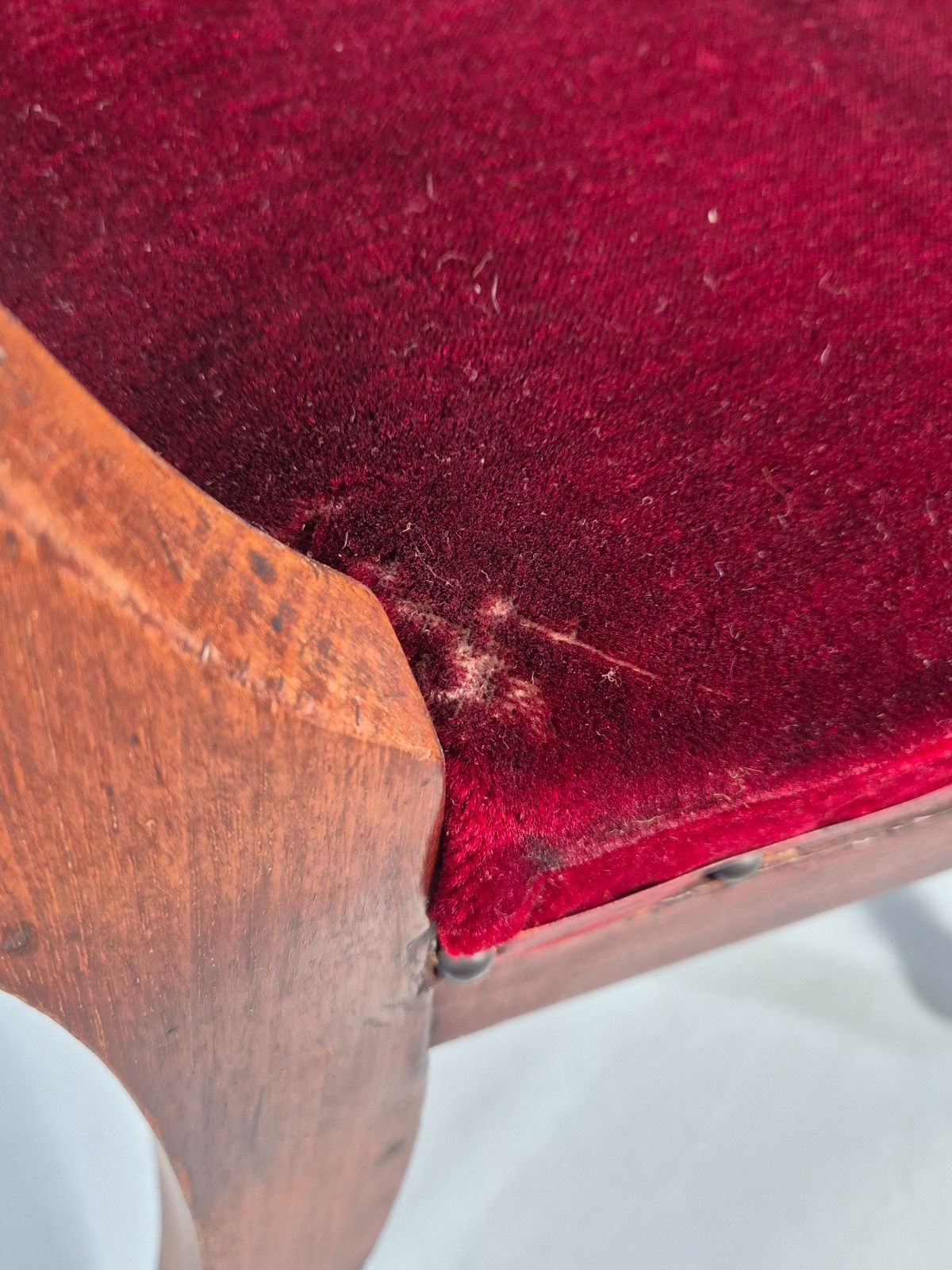 Antique William IV Mahogany Dining Chair Red Velvet Upholstery 1830 Eb11224 Vdin photo vintage